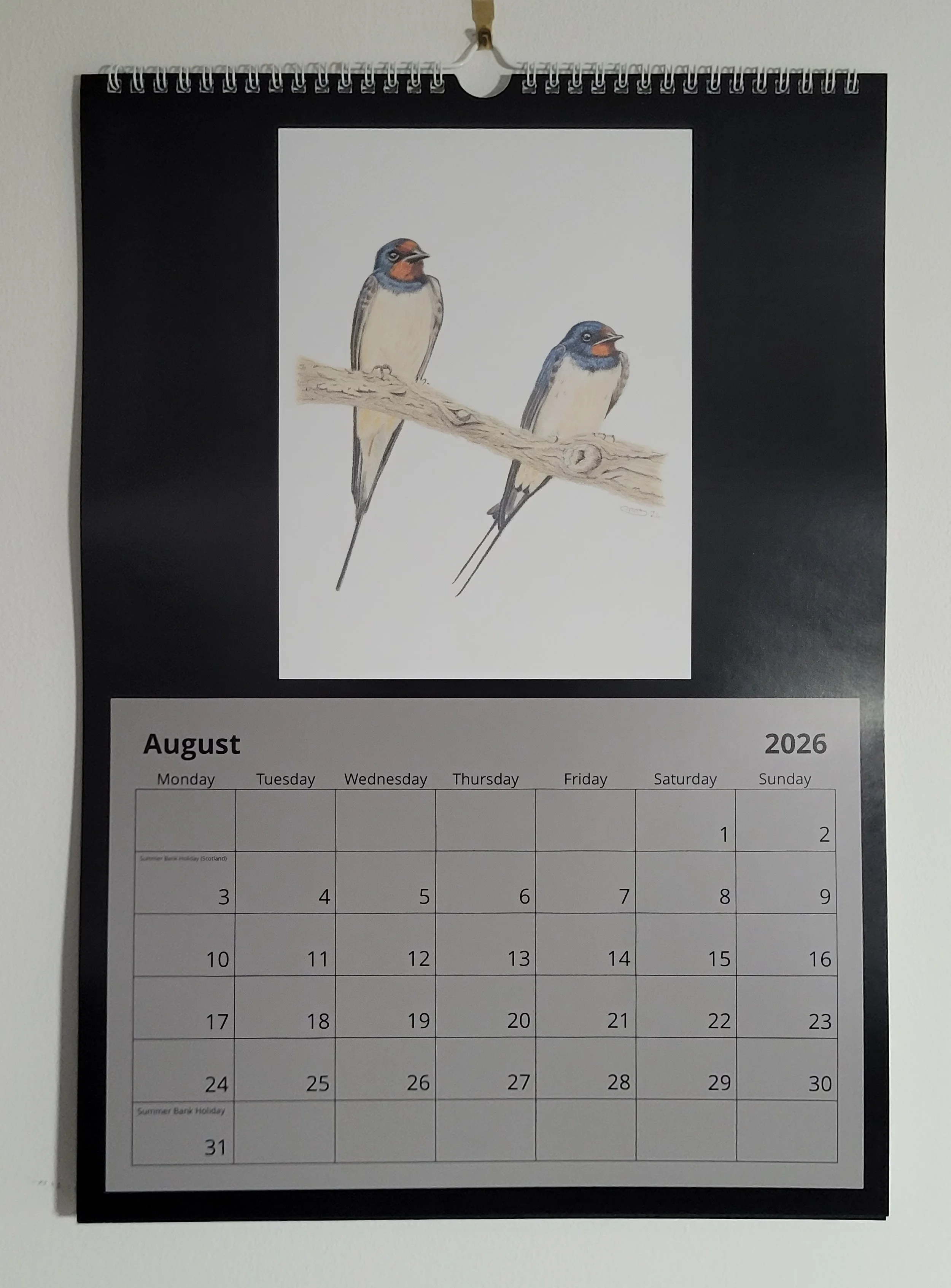 2026 British wildlife A3 wall calendar. A pair of swallows feature for August.