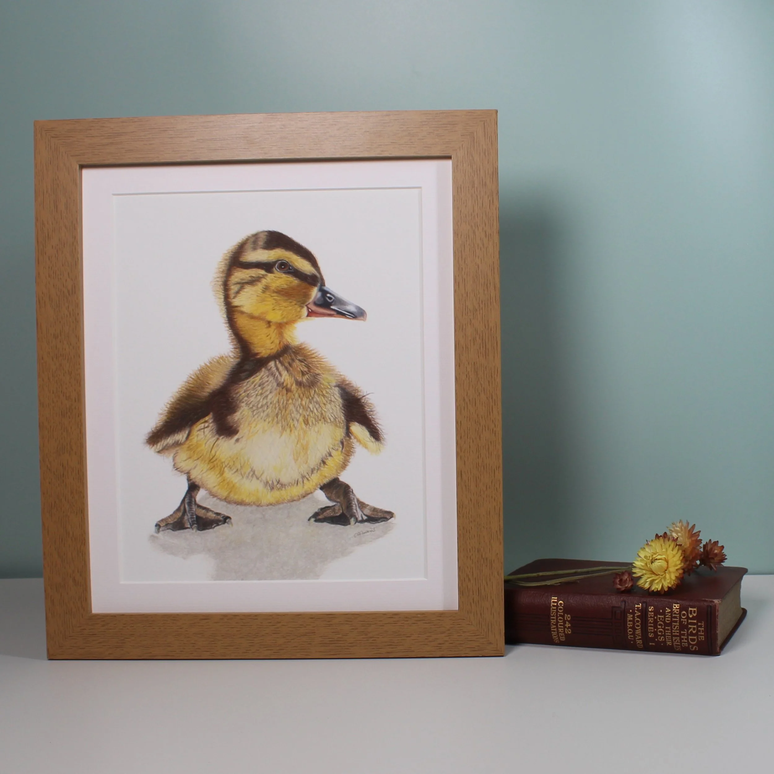 Duckling large framed fine art print