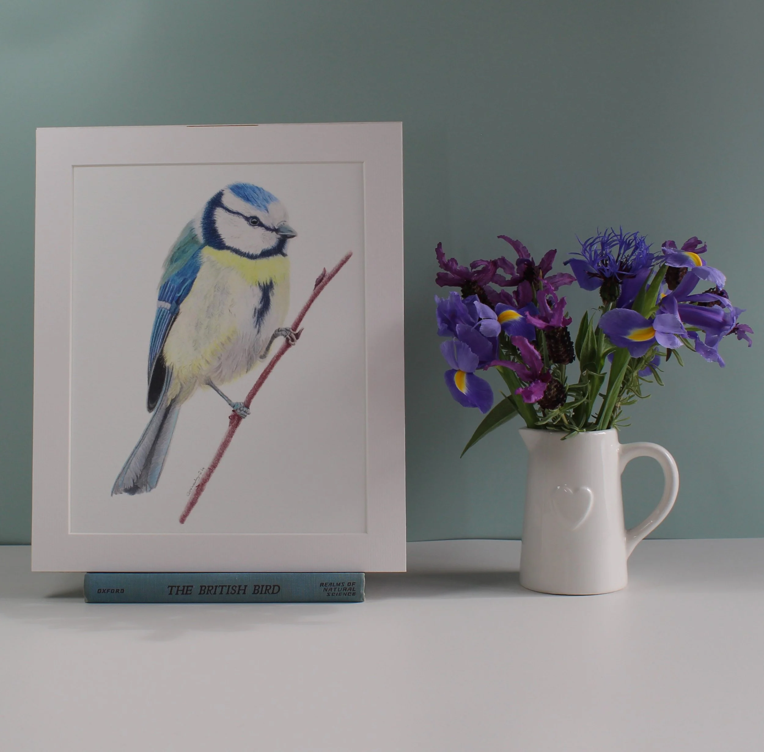 Blue tit fine art print (mounted and unframed)