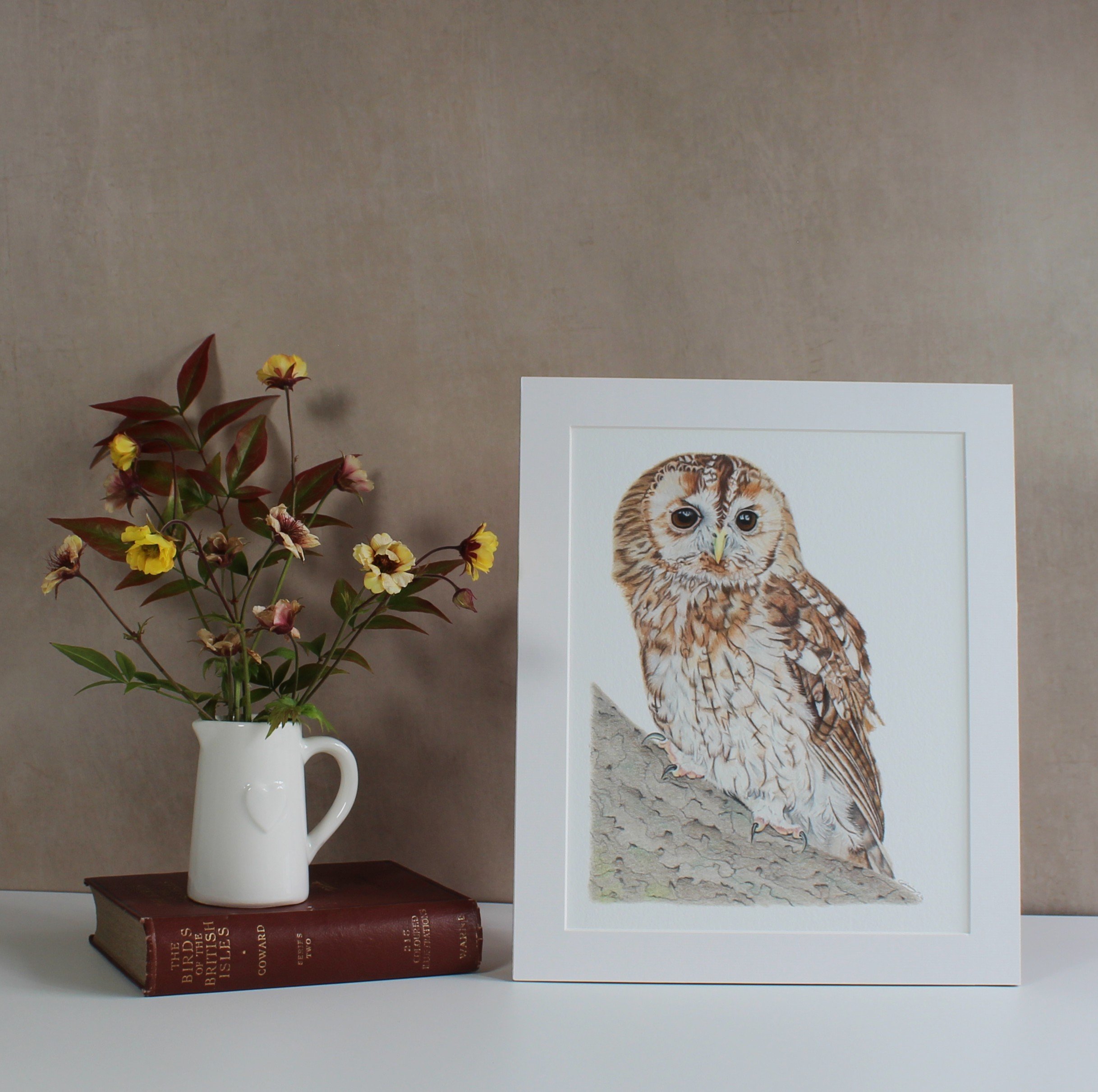 Tawny owl fine art print (mounted and unframed)