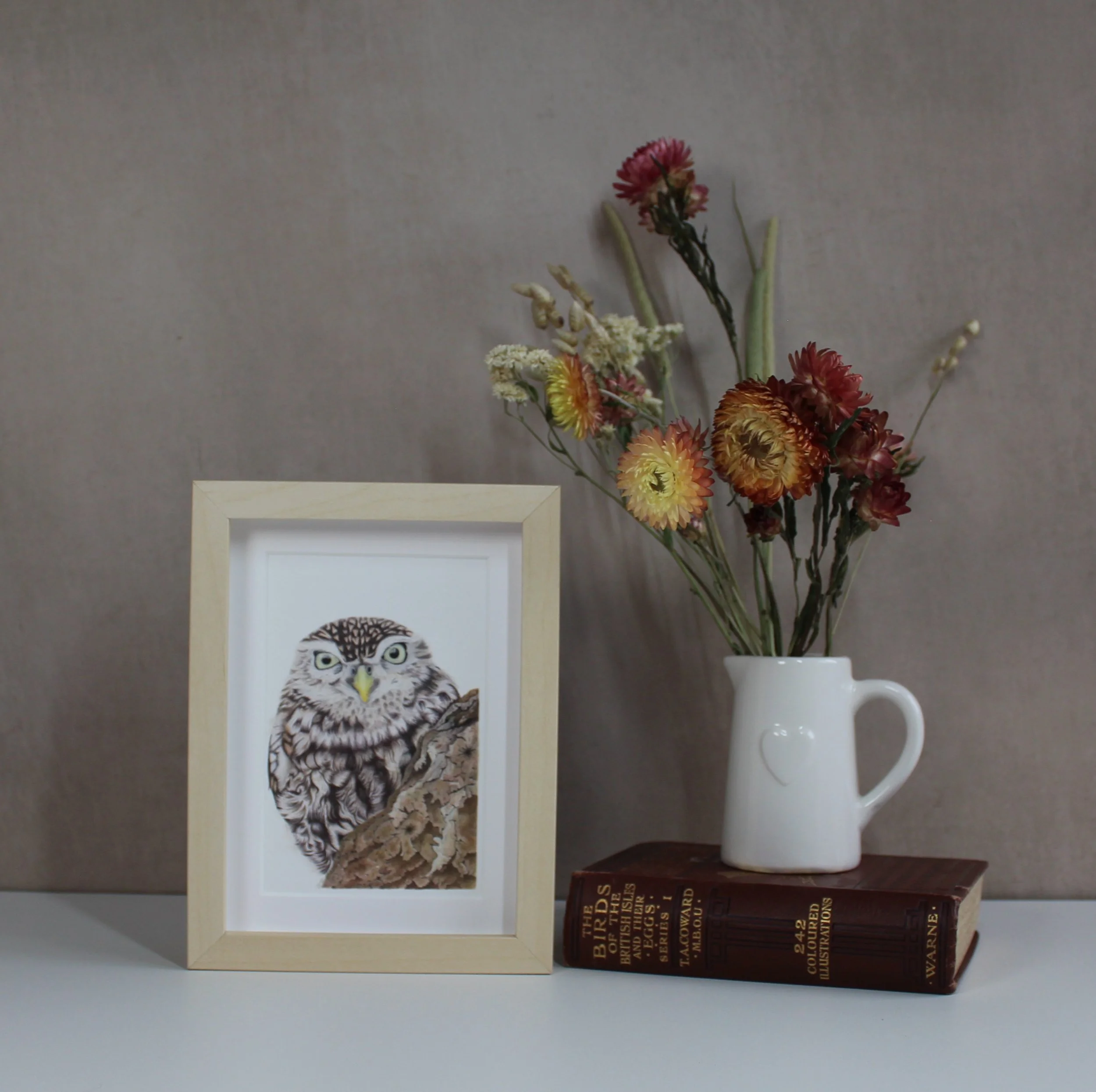 Little owl small framed fine art print