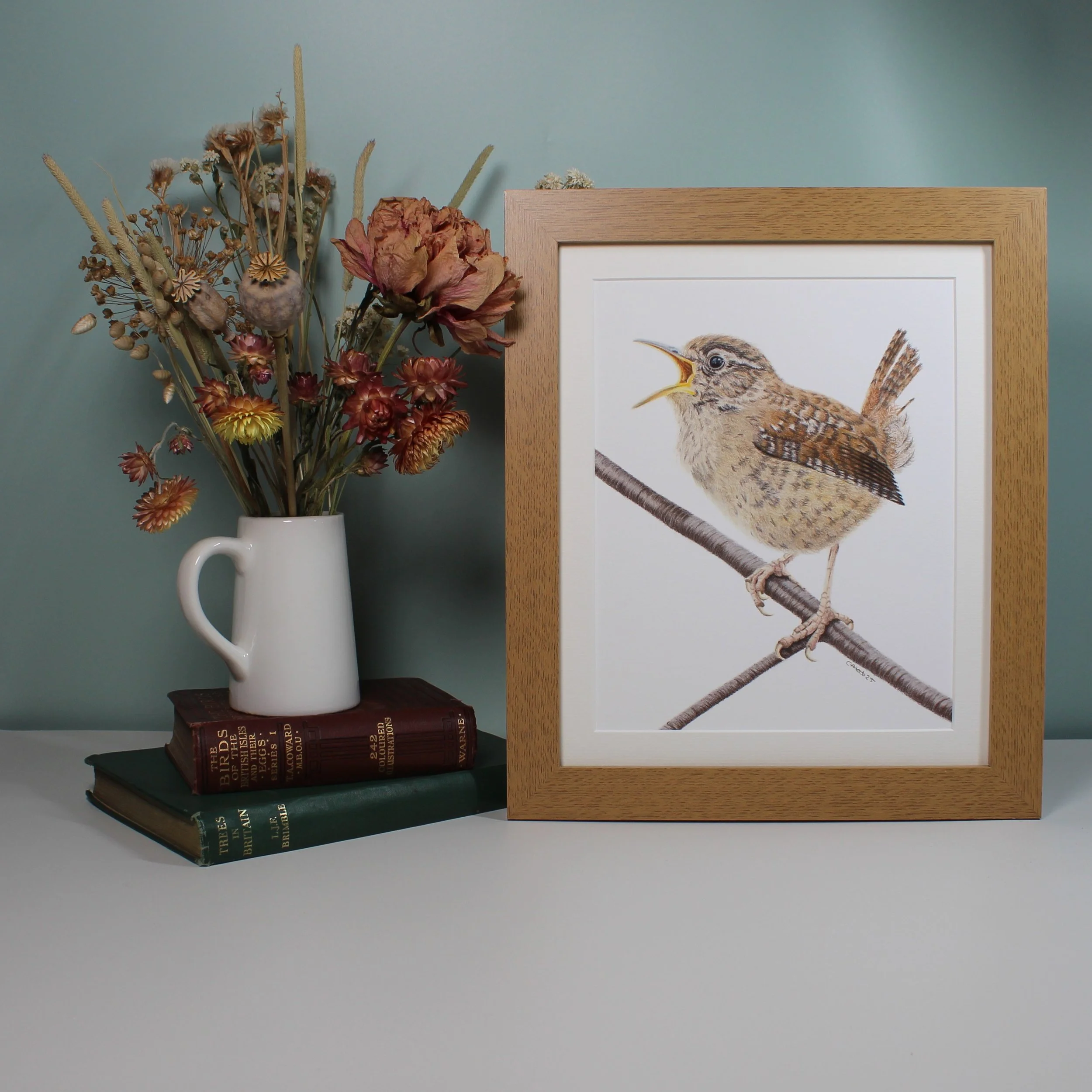 Wren large framed fine art print