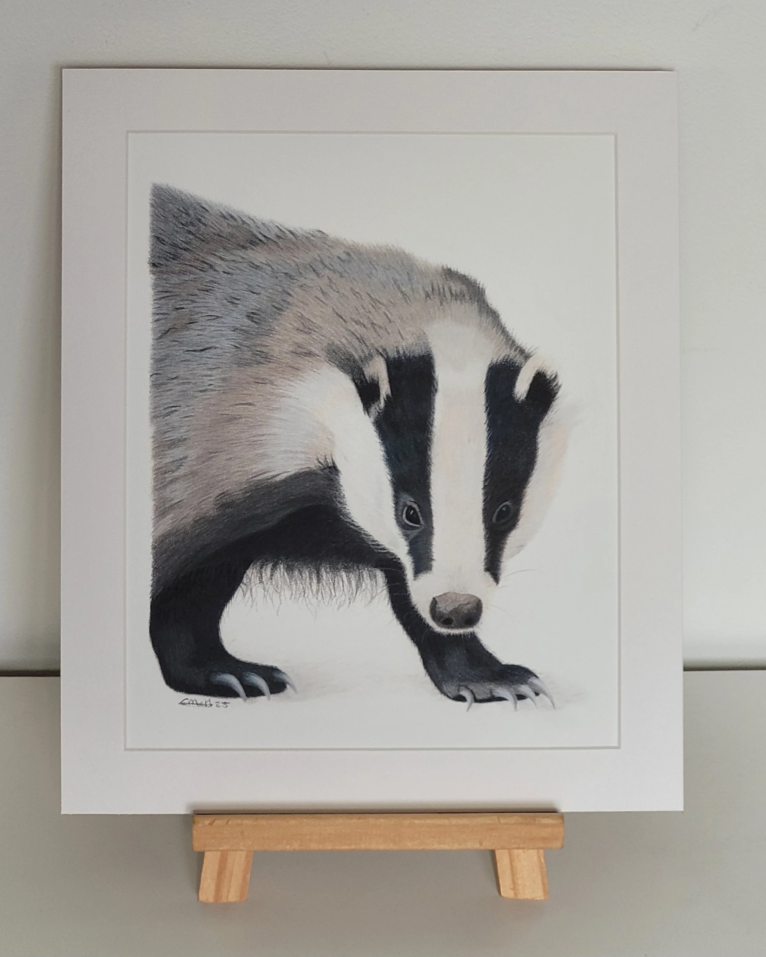 Badger fine art mounted print.