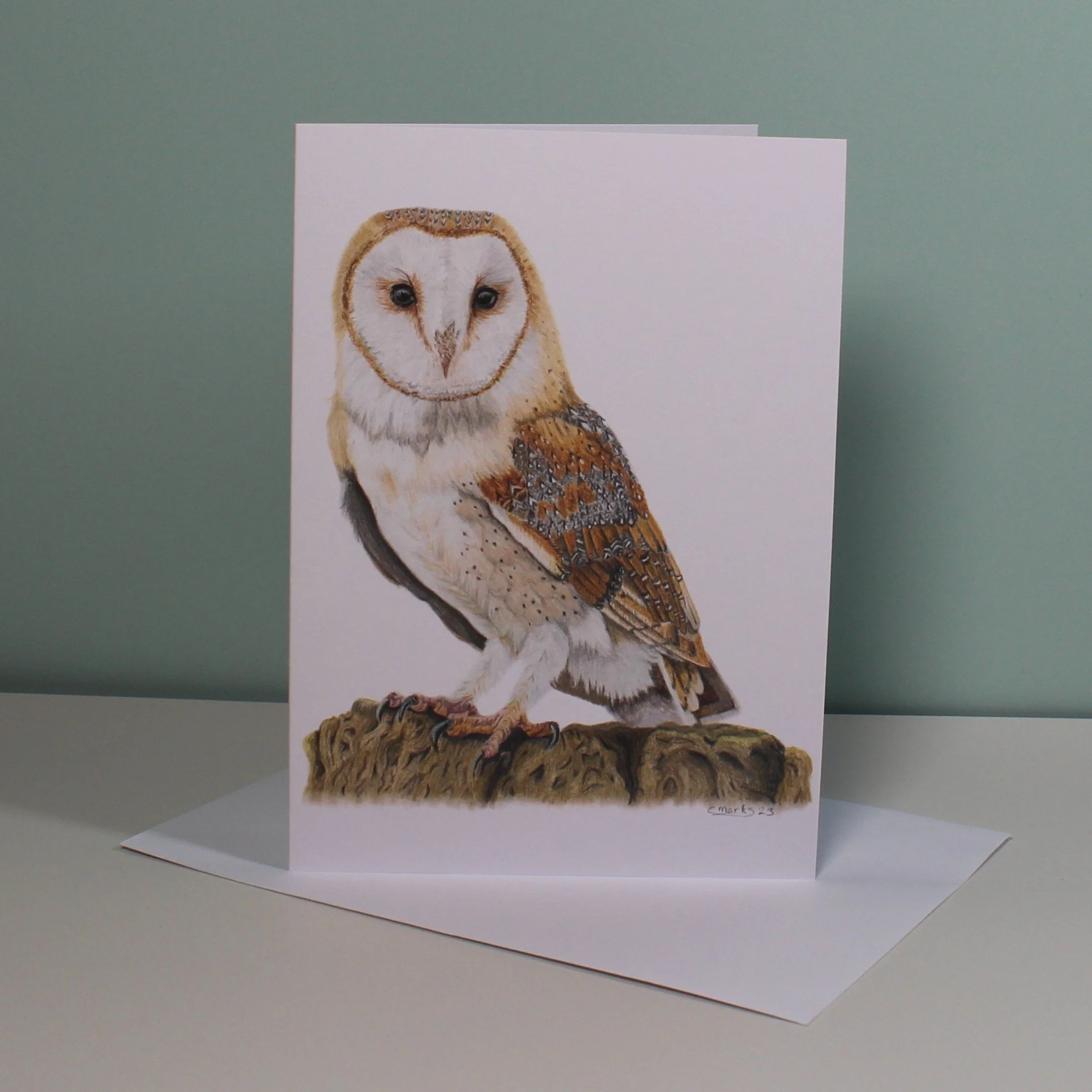 Barn owl greetings card (blank inside)