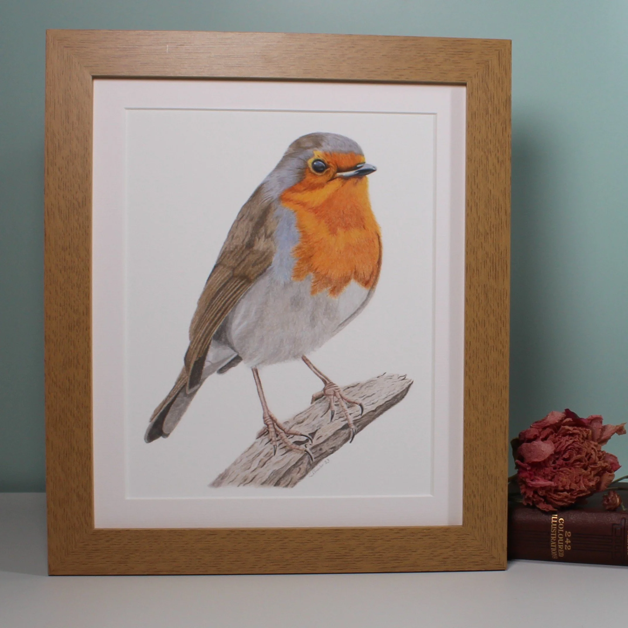 Robin large frame fine art print.