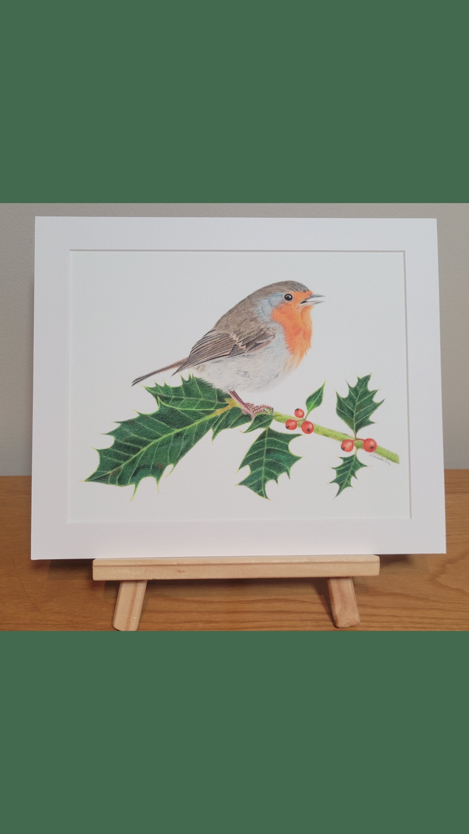 Robin on holly fine art print.