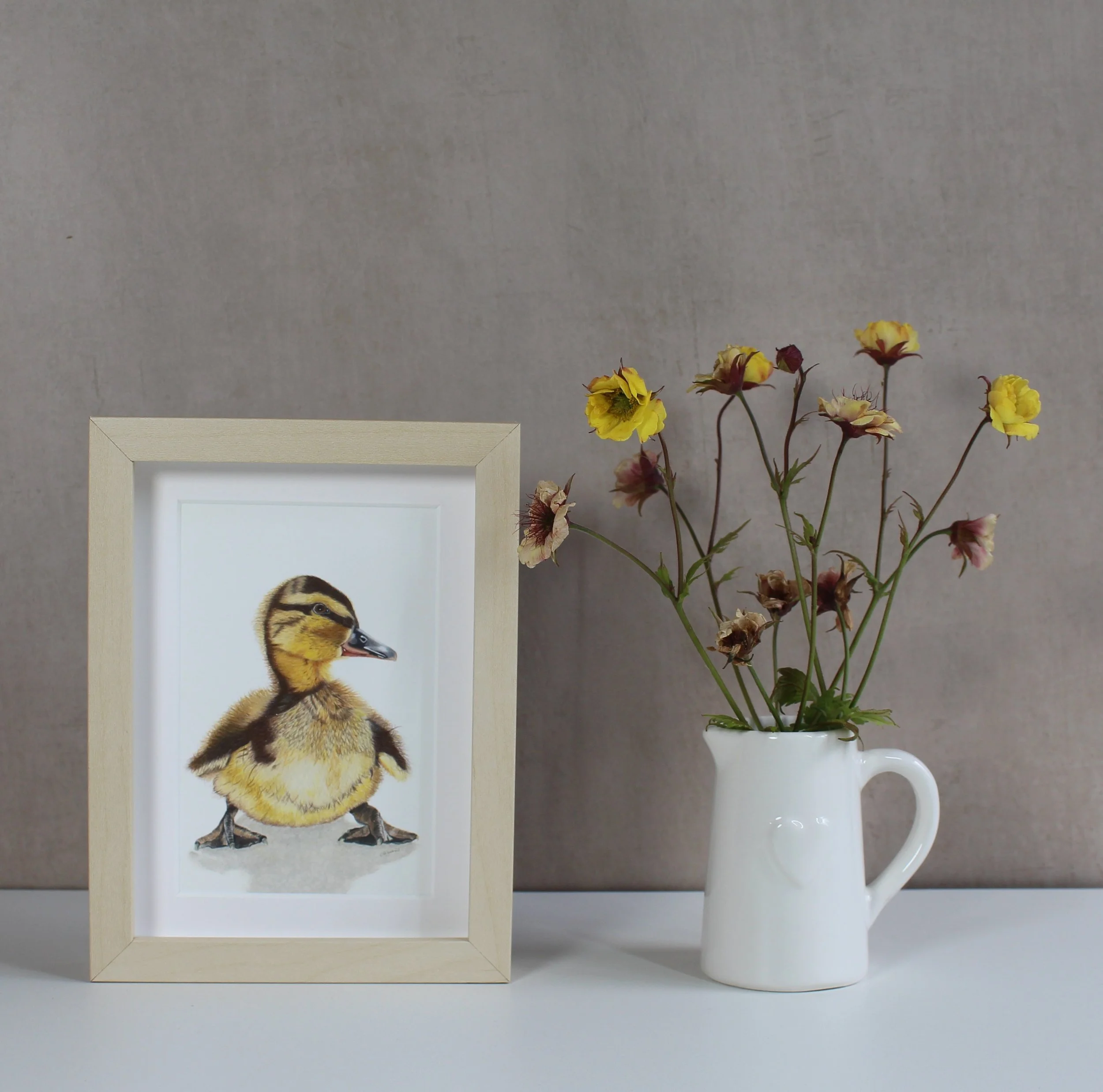 Duckling small framed fine art print