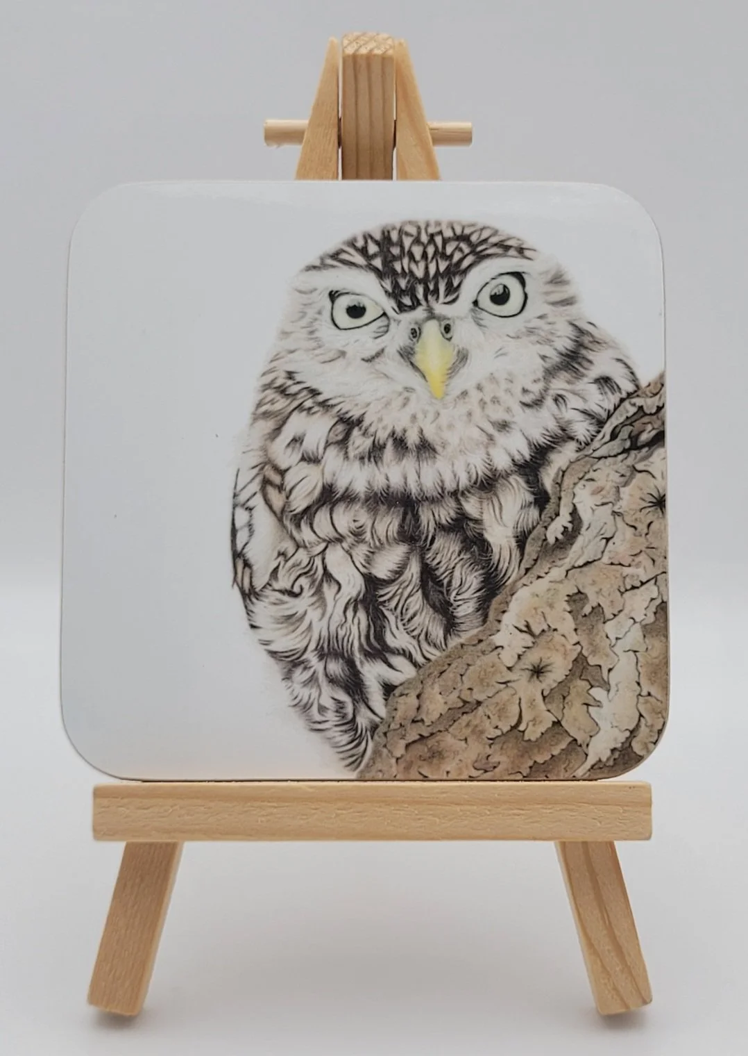 Little owl coaster.