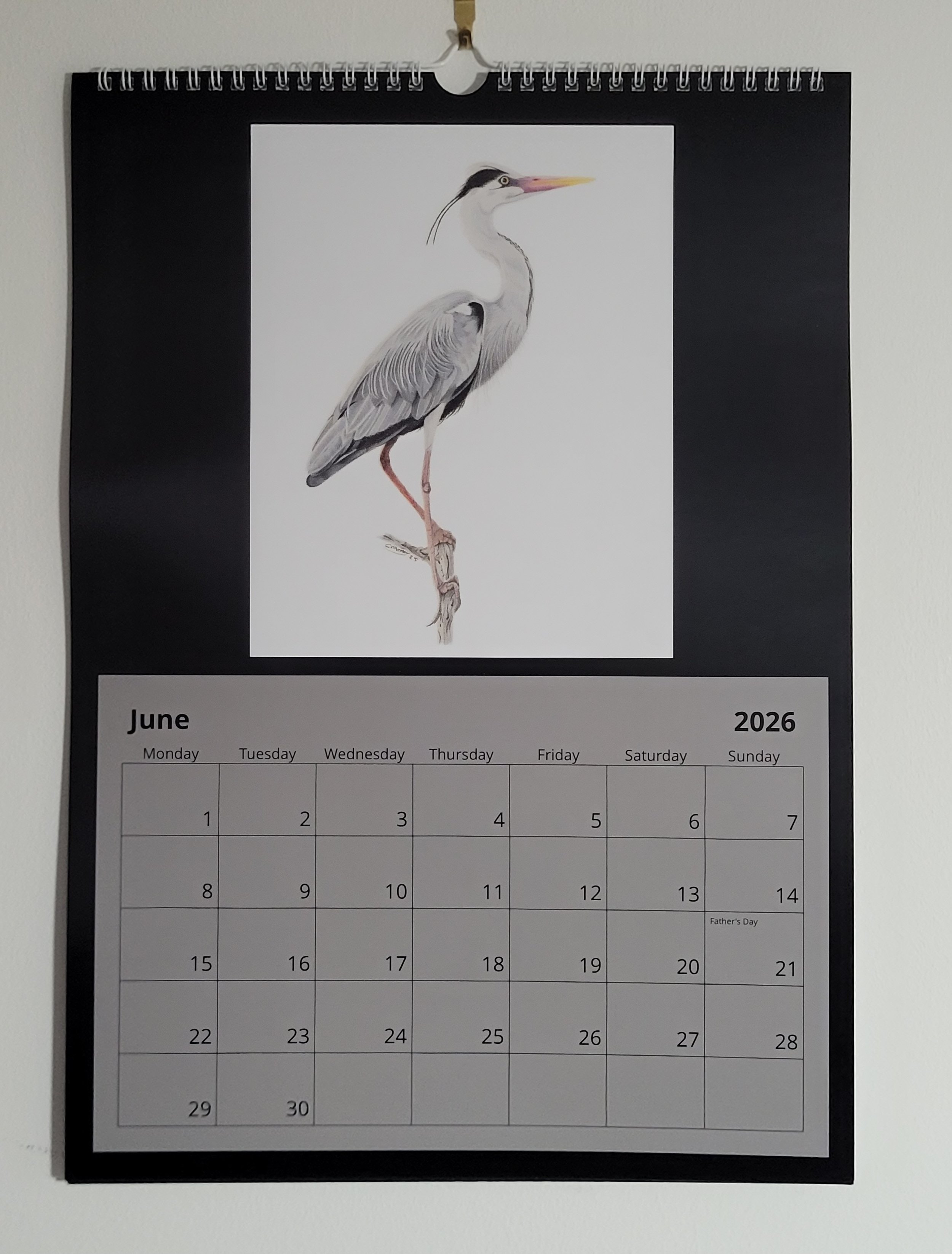2026 British wildlife A3 wall calendar. A grey heron features for June.
