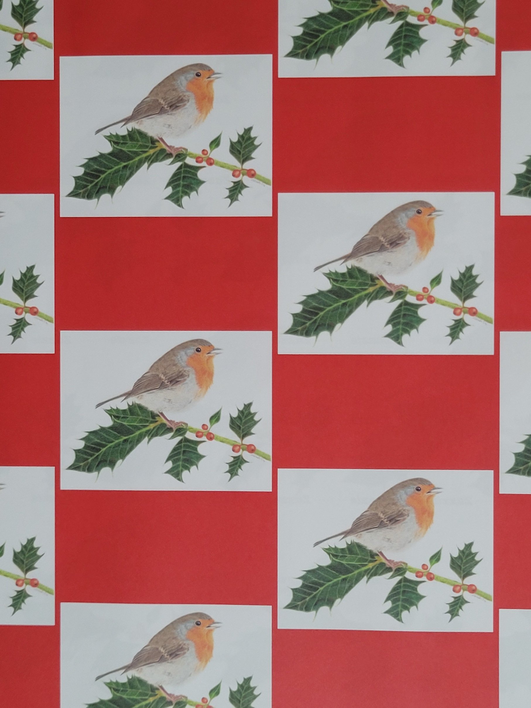 Robin on holly Christmas wrapping paper.