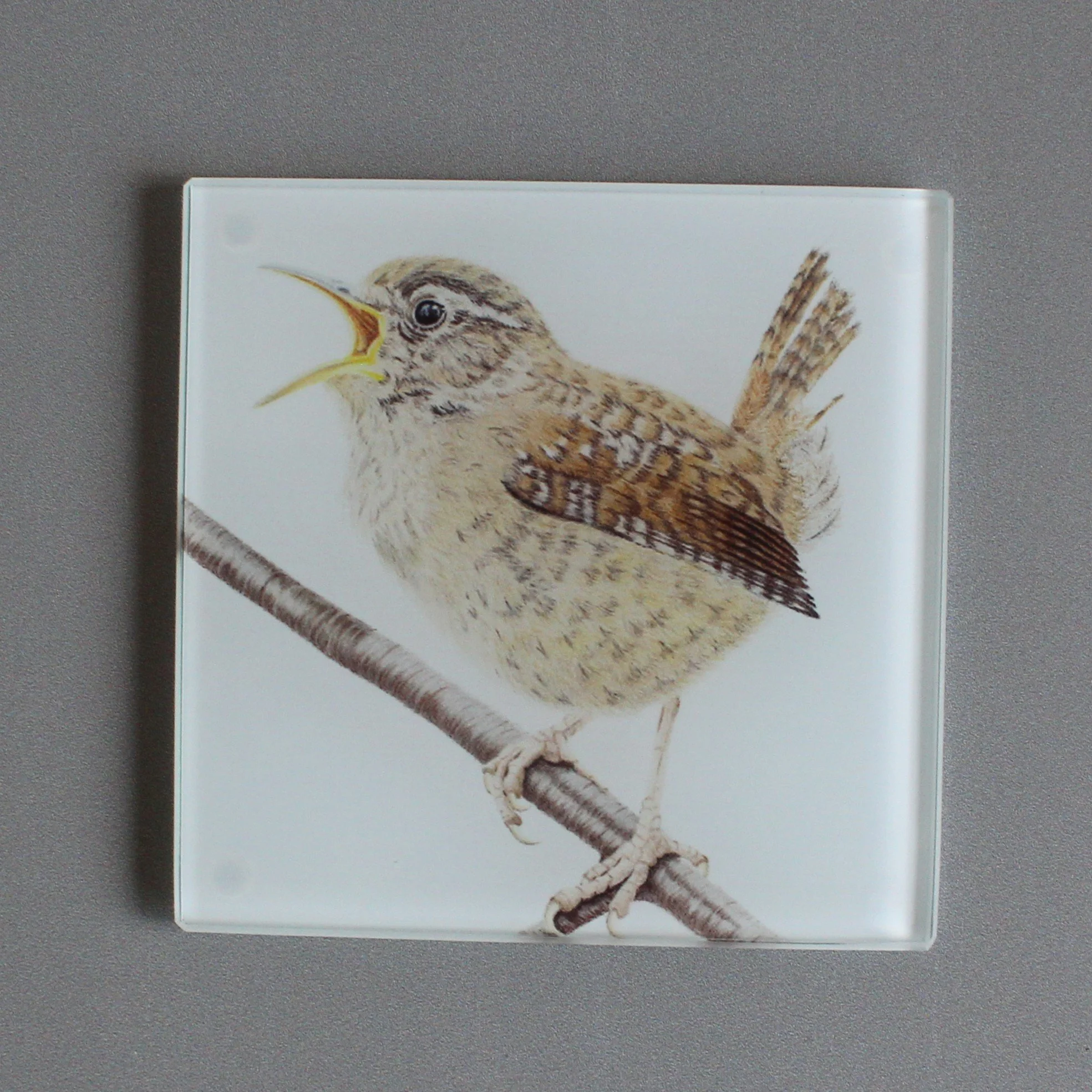 Wren glass coasters