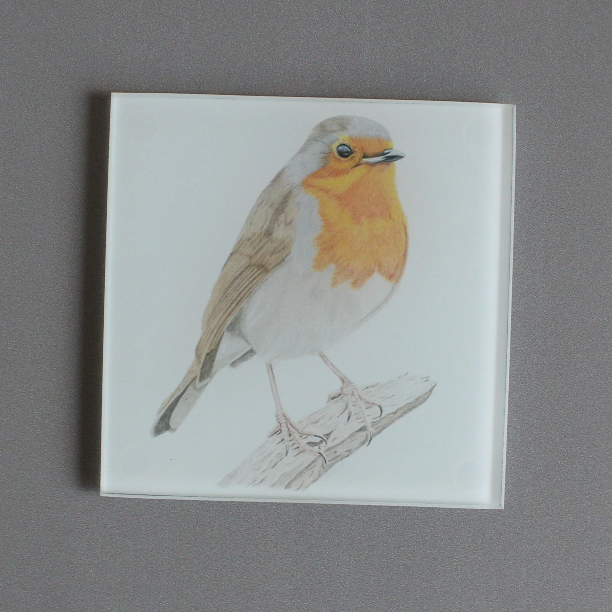 Robin glass coasters.