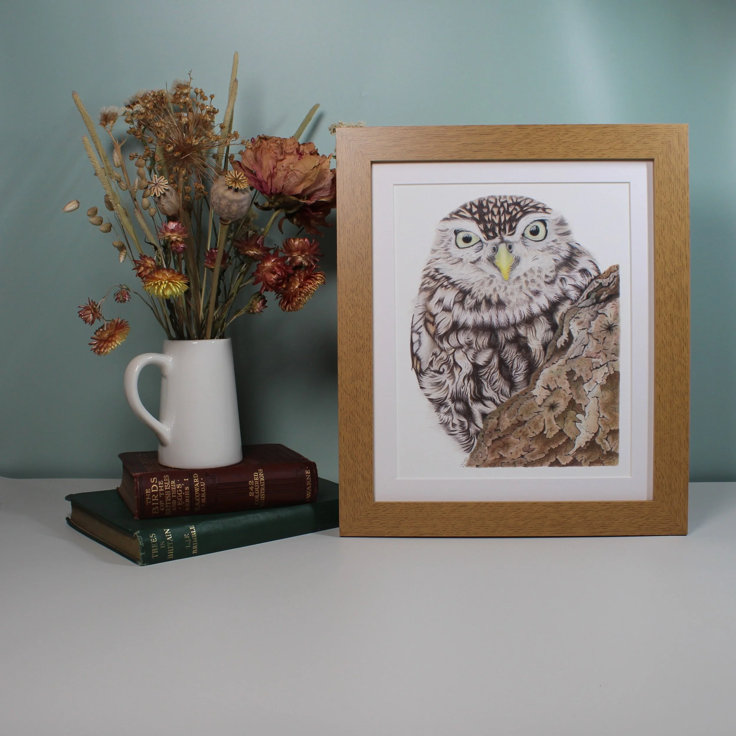 Little owl large framed fine art print