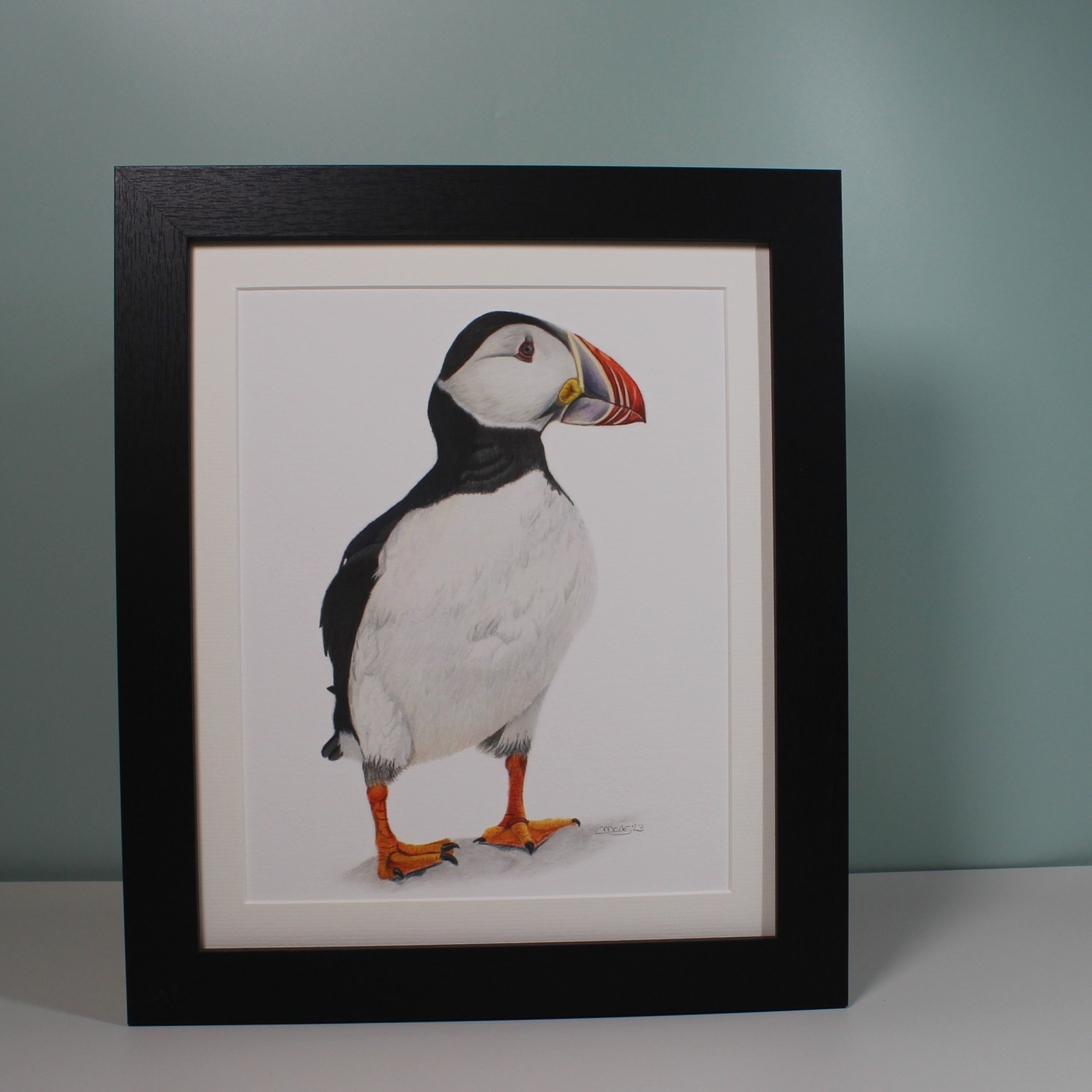 Little owl large frame fine art print.