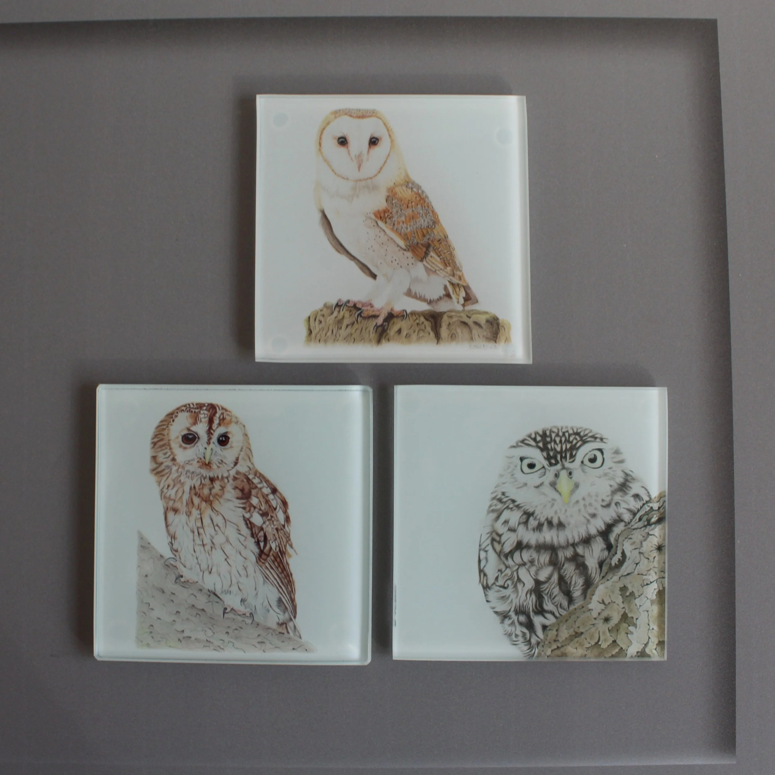 Tawny owl, barn owl and little owl glass coasters.