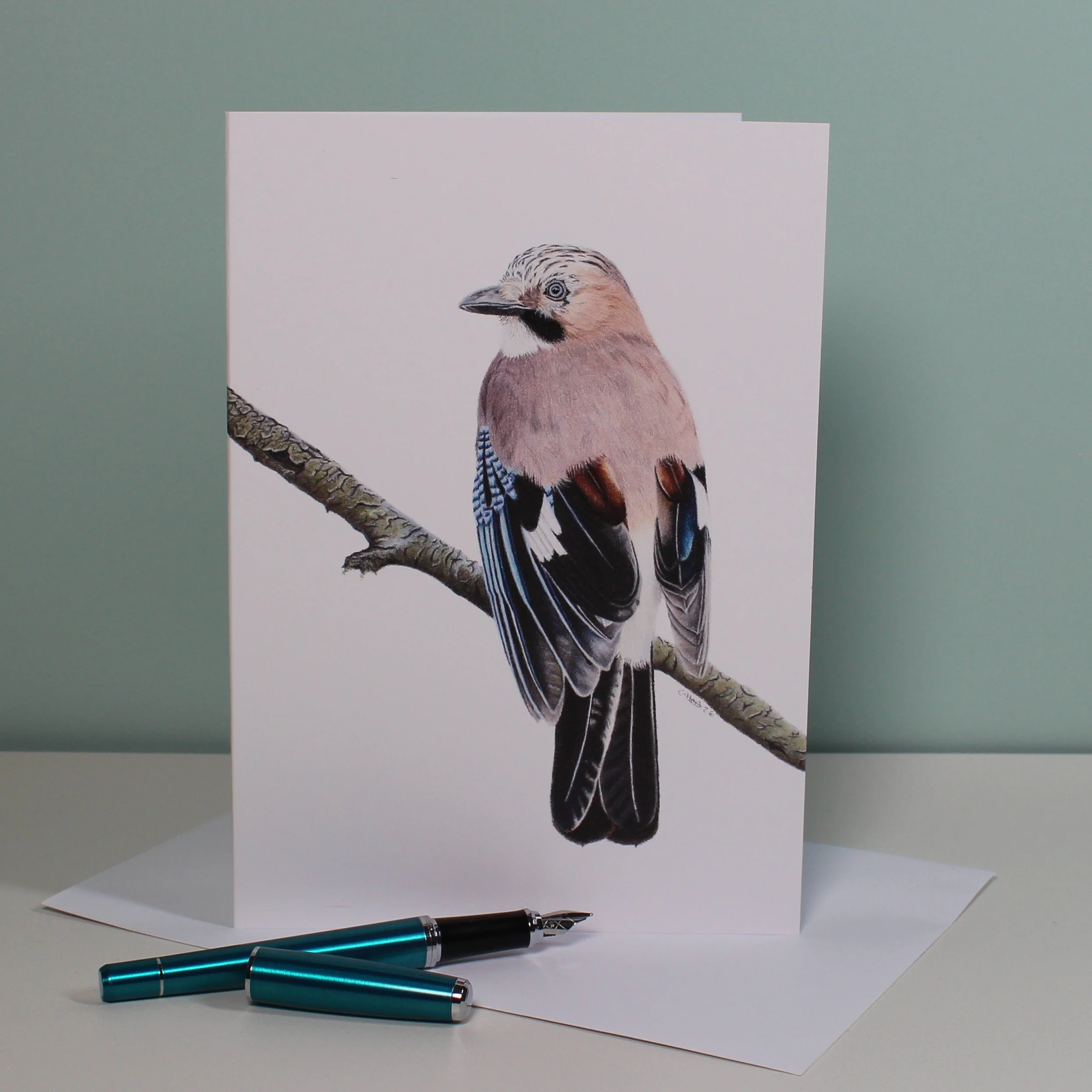 Jay greetings card (blank inside)