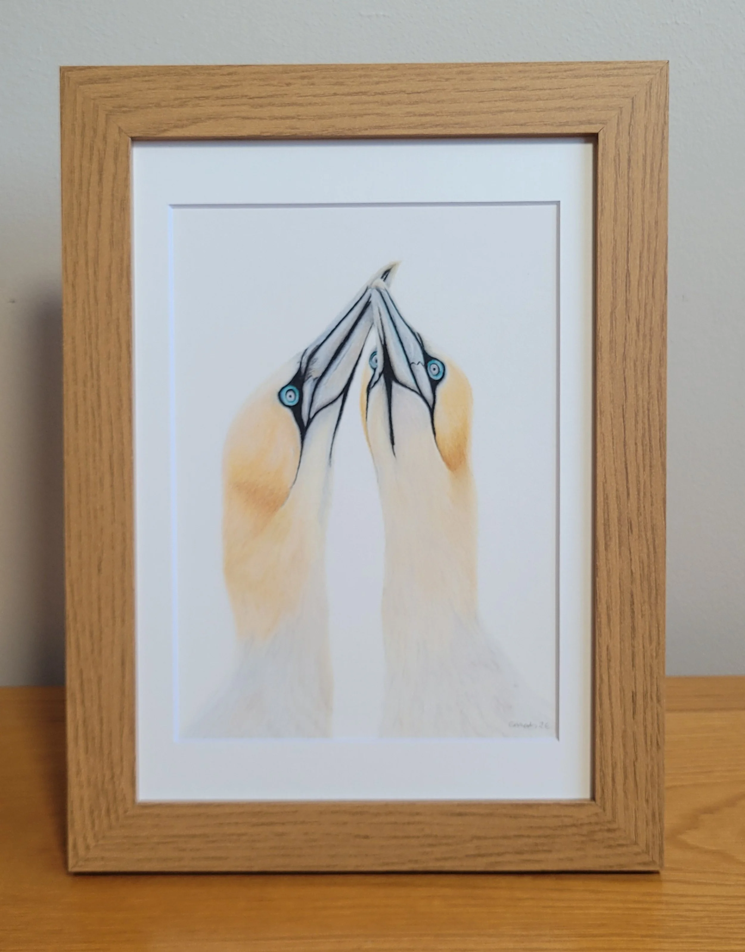 Framed original gannets artwork.