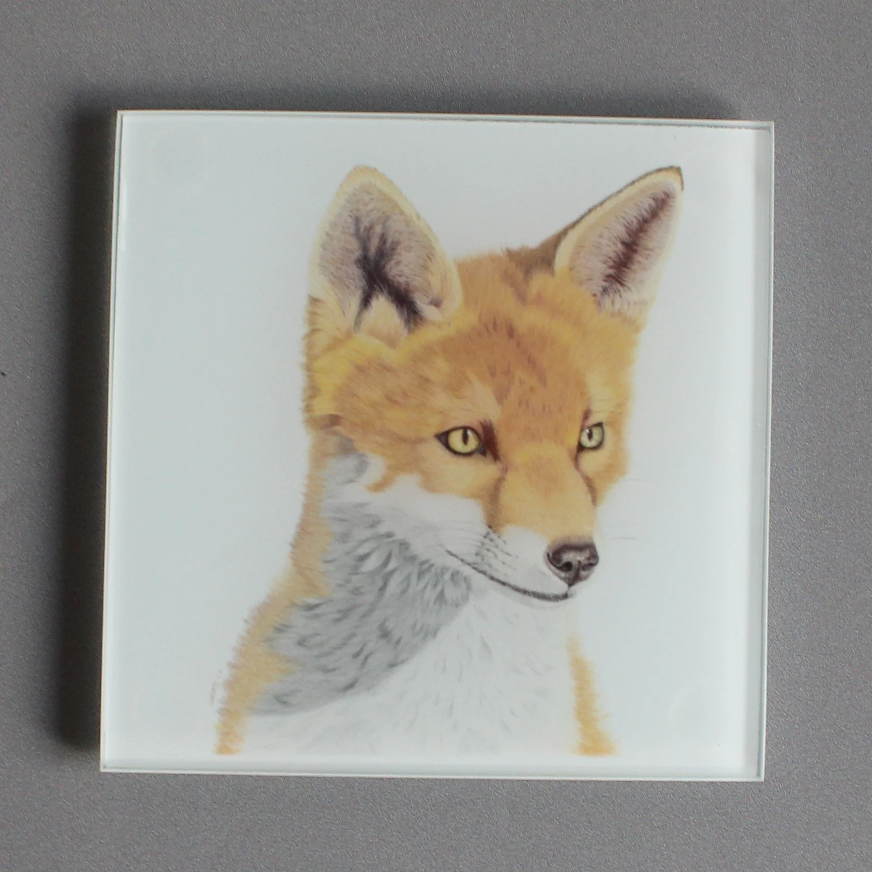 Gazing fox glass coasters