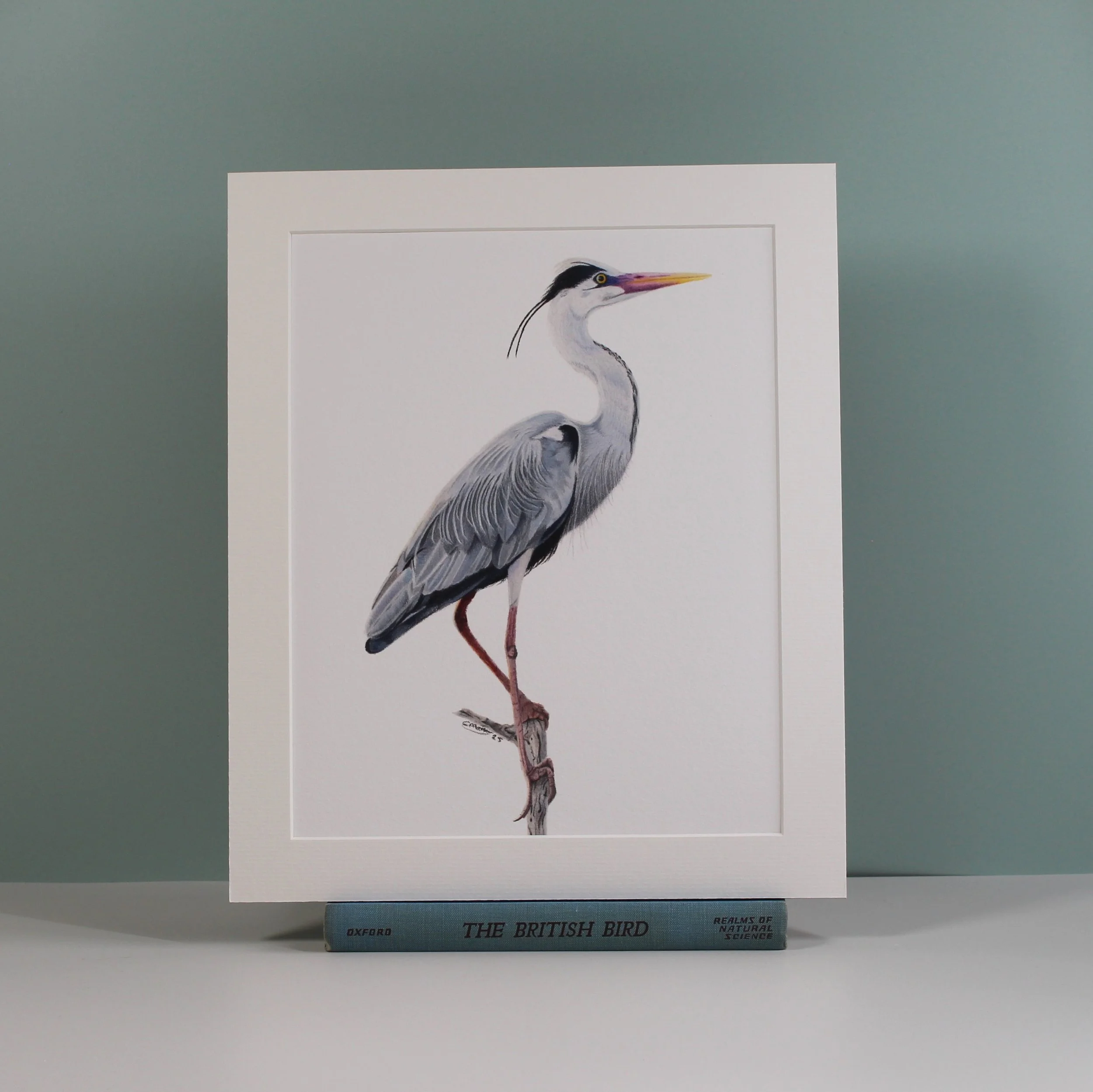 A heron fine art mounted print.