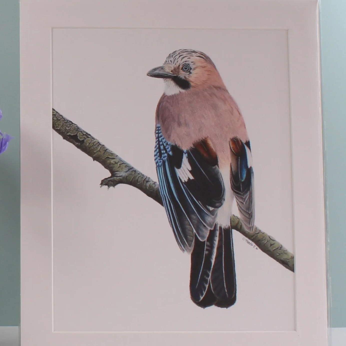 A close up photo of a jay mounted fine art print.