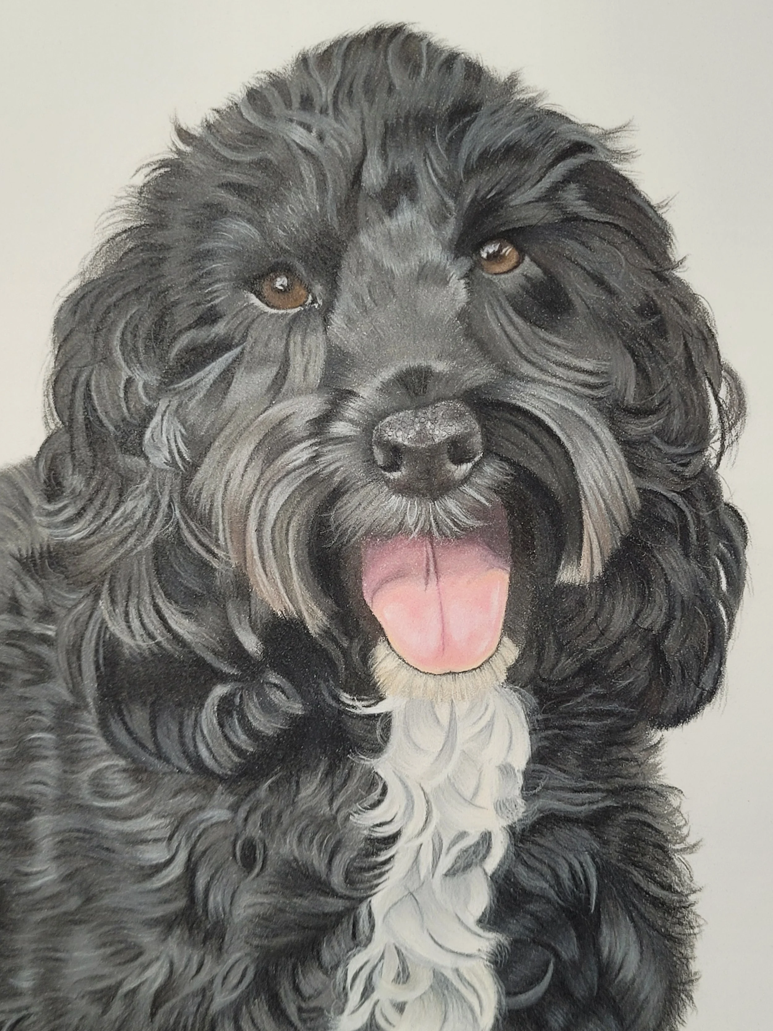 A realistic pet portrait of a Cockapoo dog.