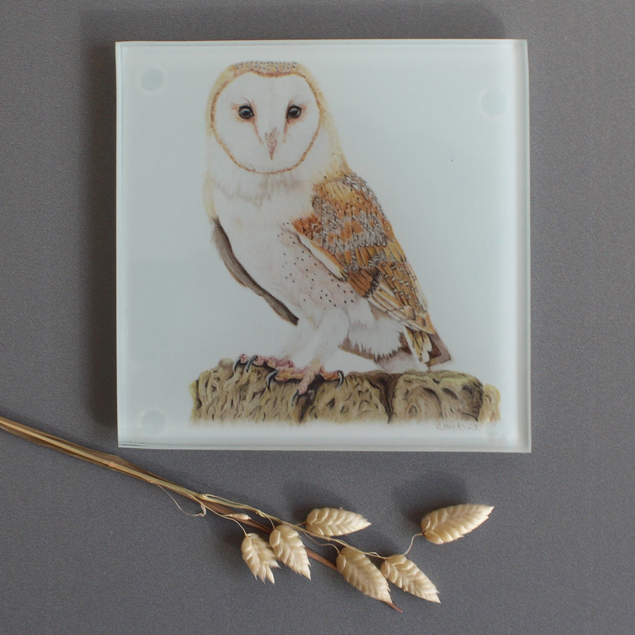 Barn owl glass coasters
