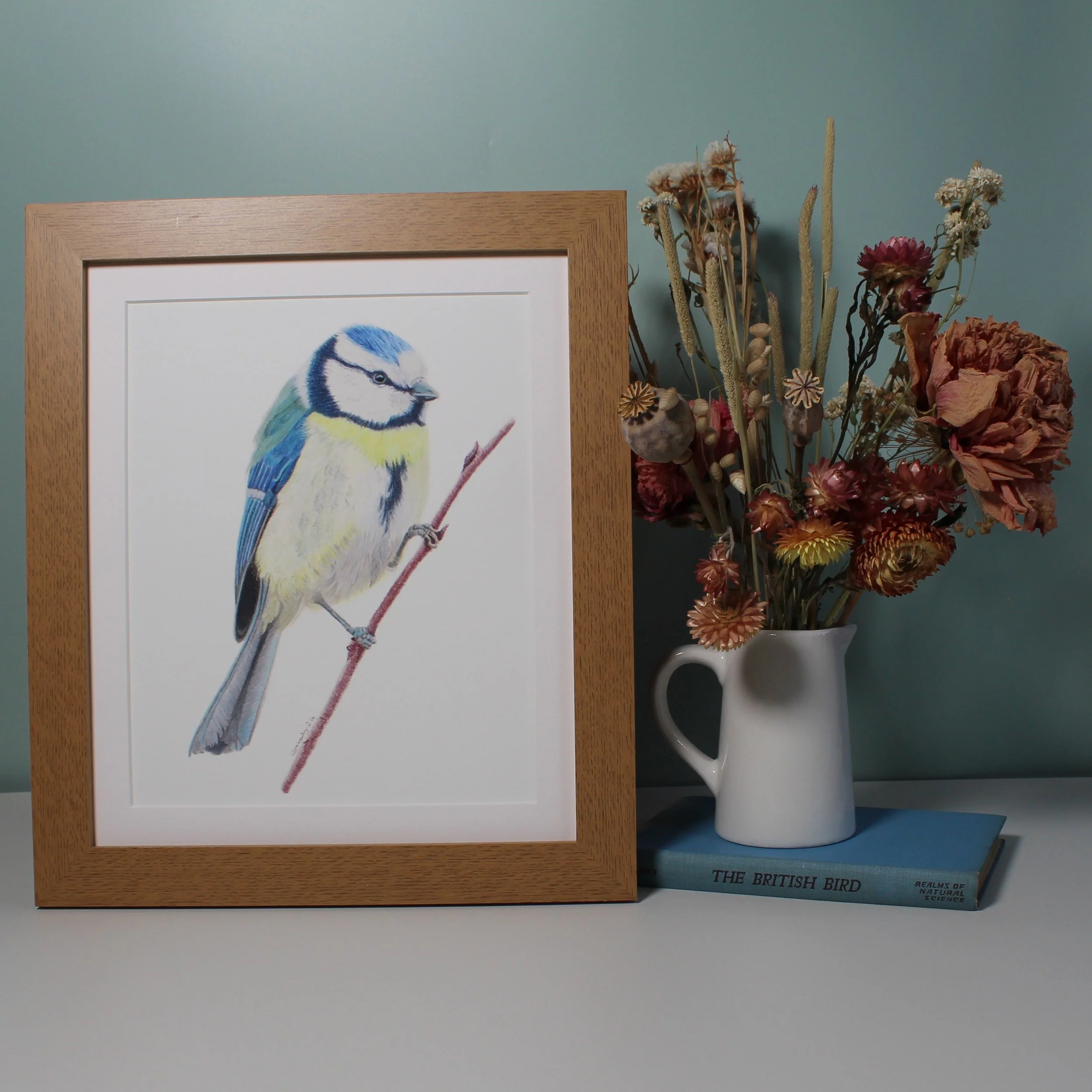 Blue tit large framed fine art print