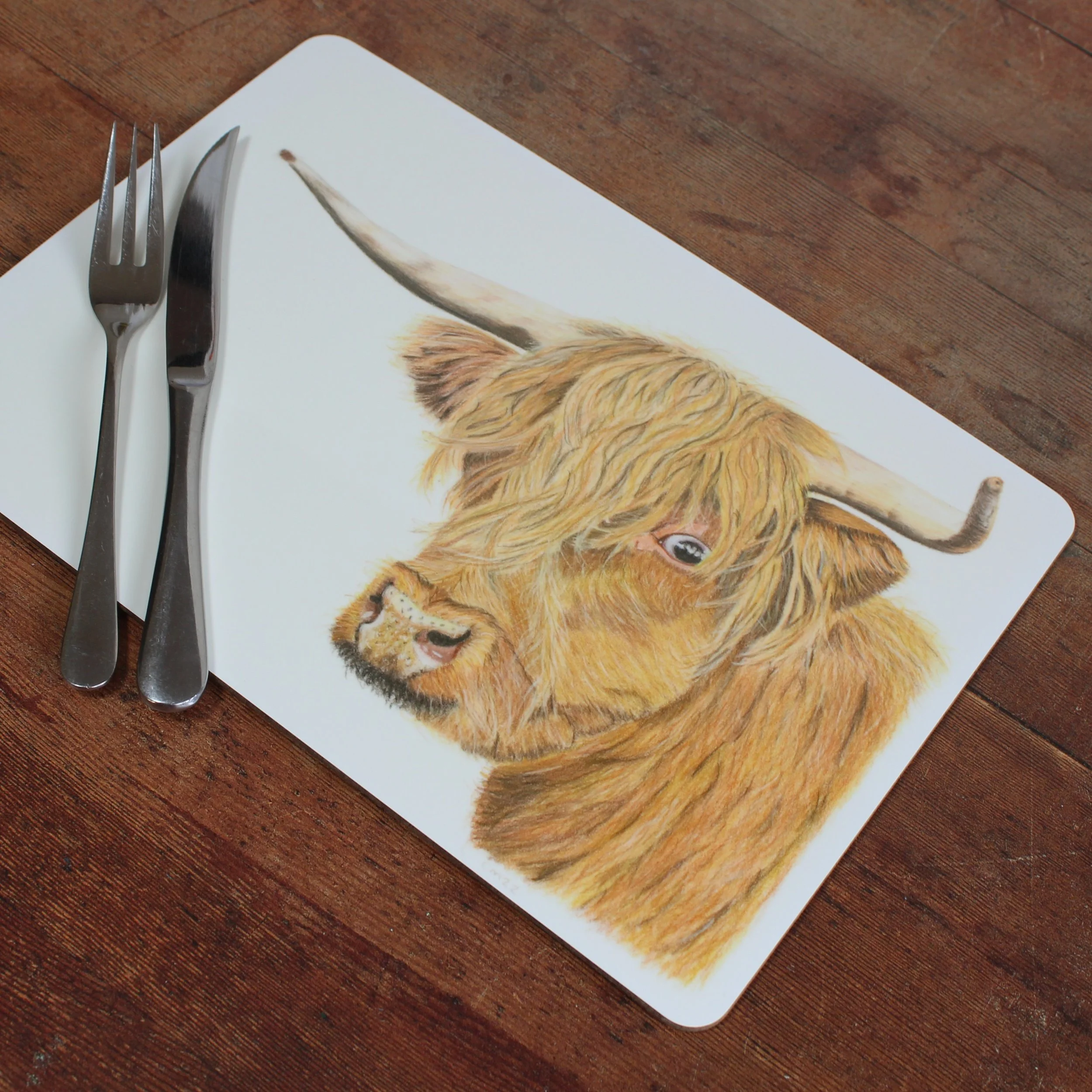 Highland cow individual placements