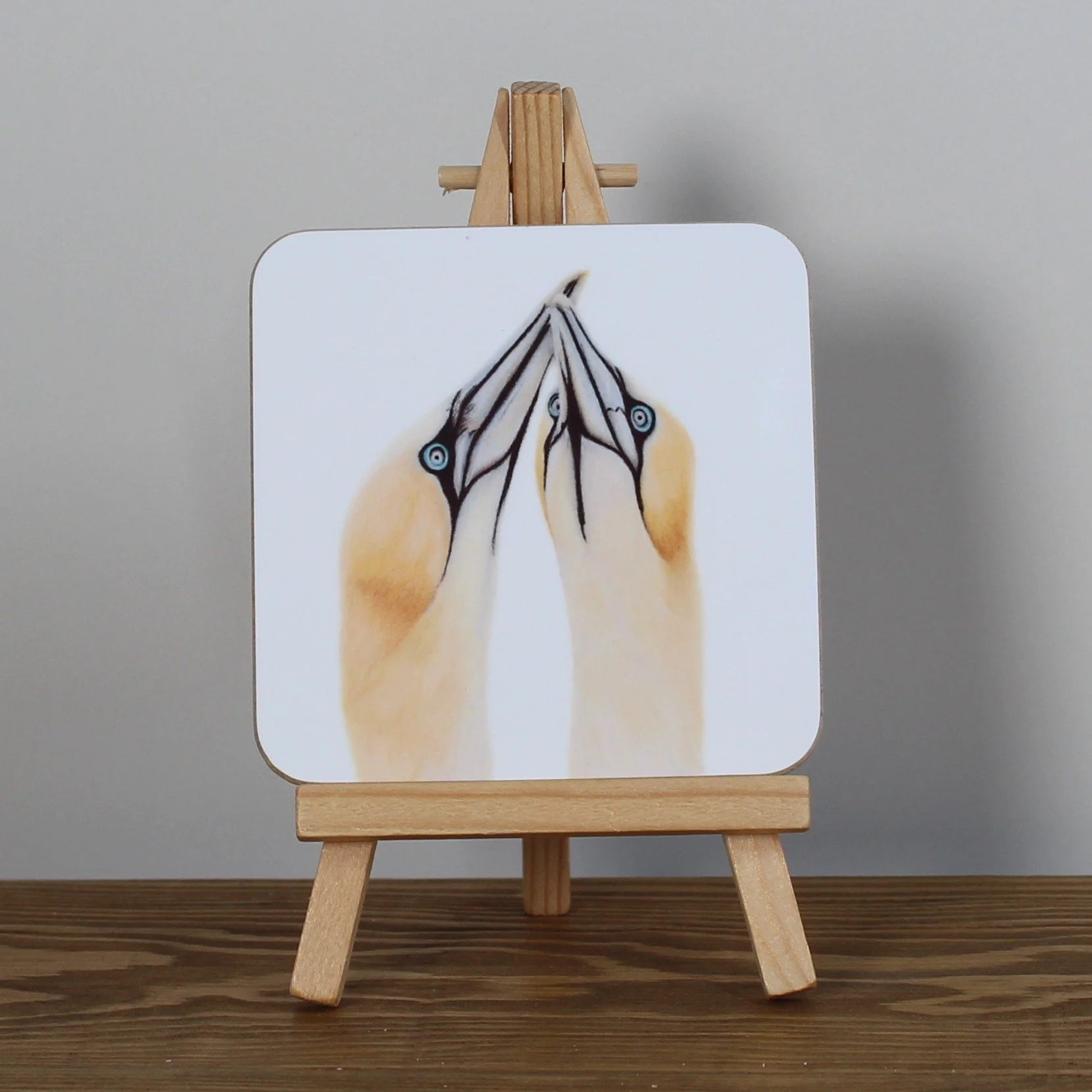 Individual glossy gannets coaster.