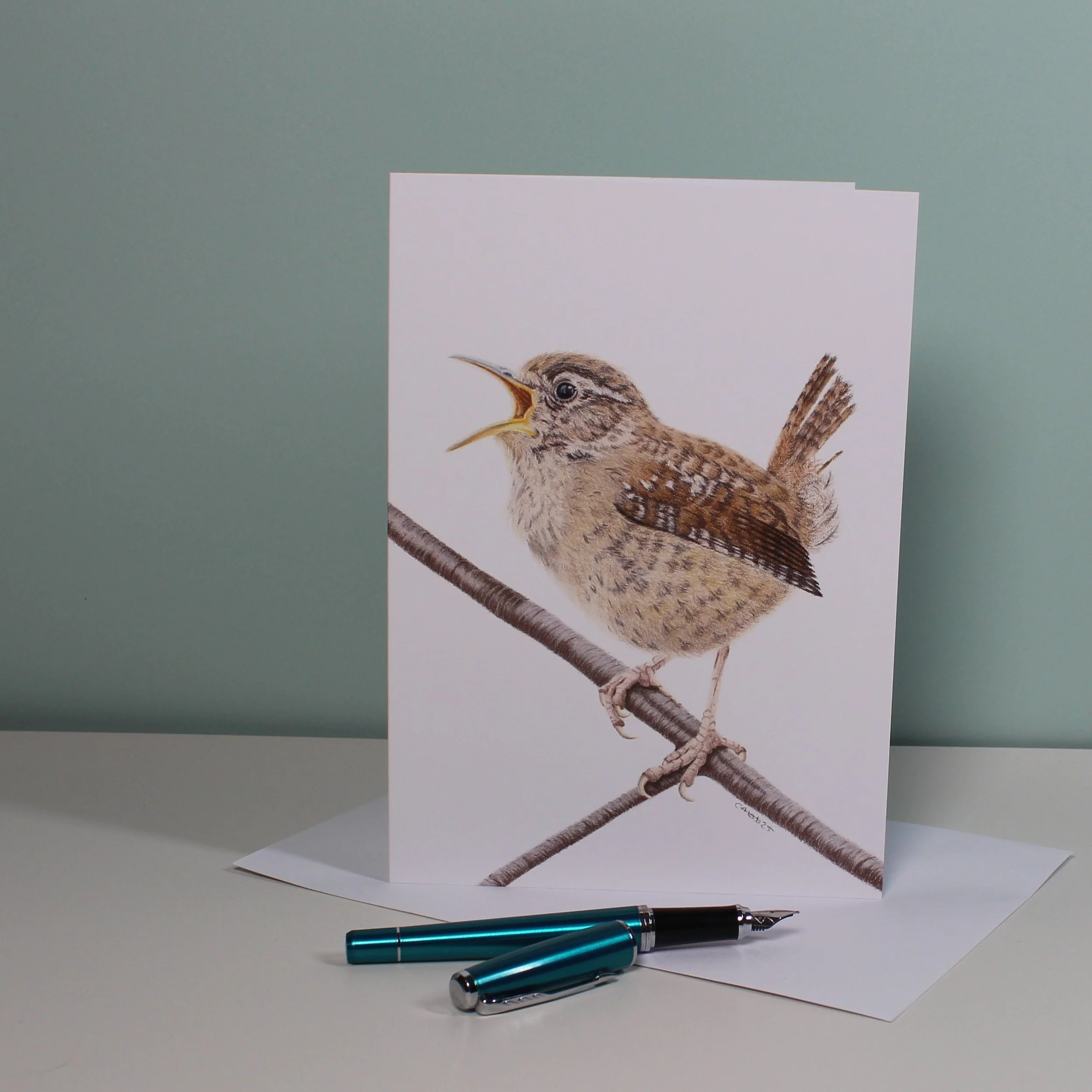 Singing wren greetings card (blank inside).