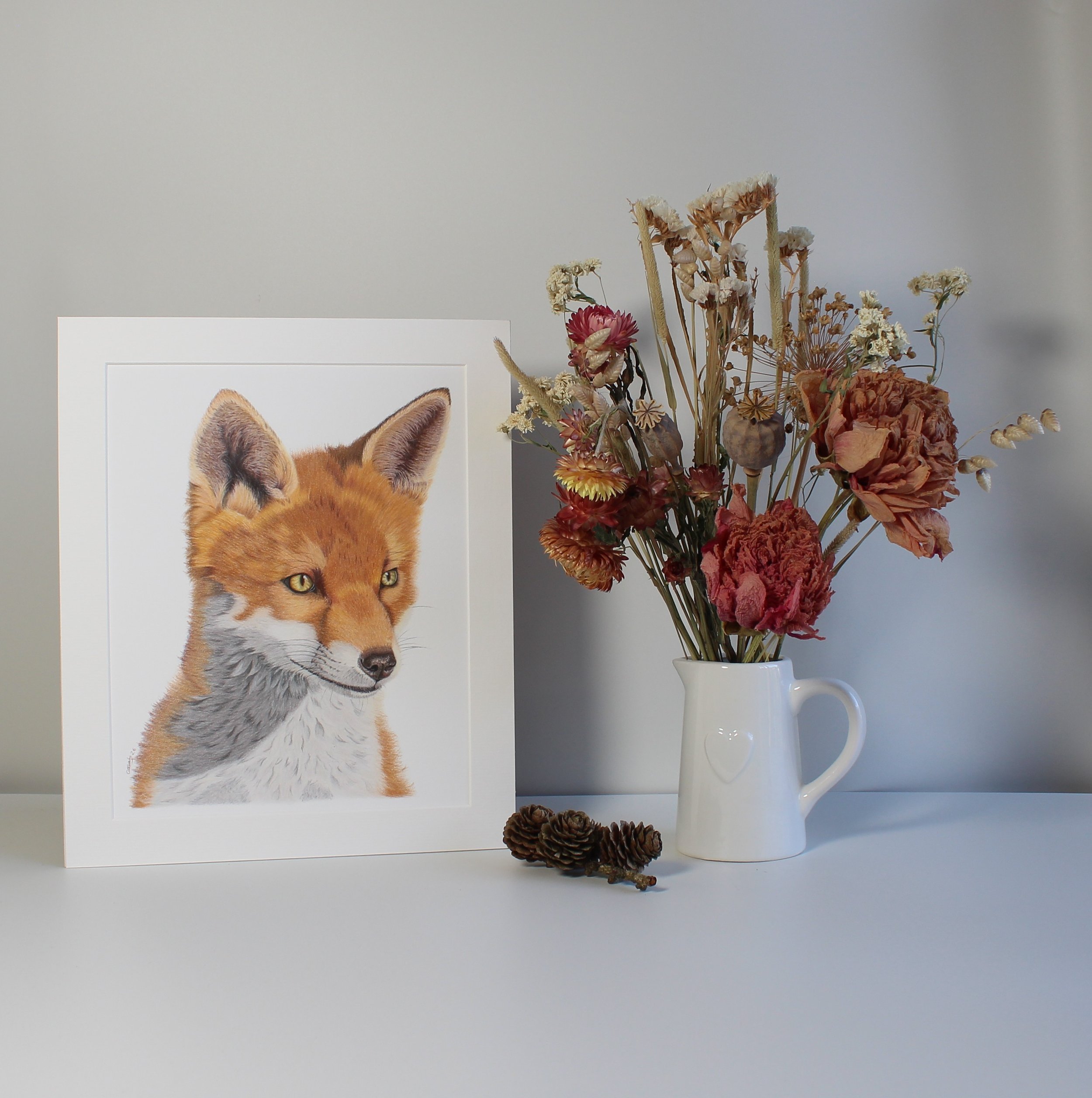 Gazing fox fine art print (mounted and unframed)
