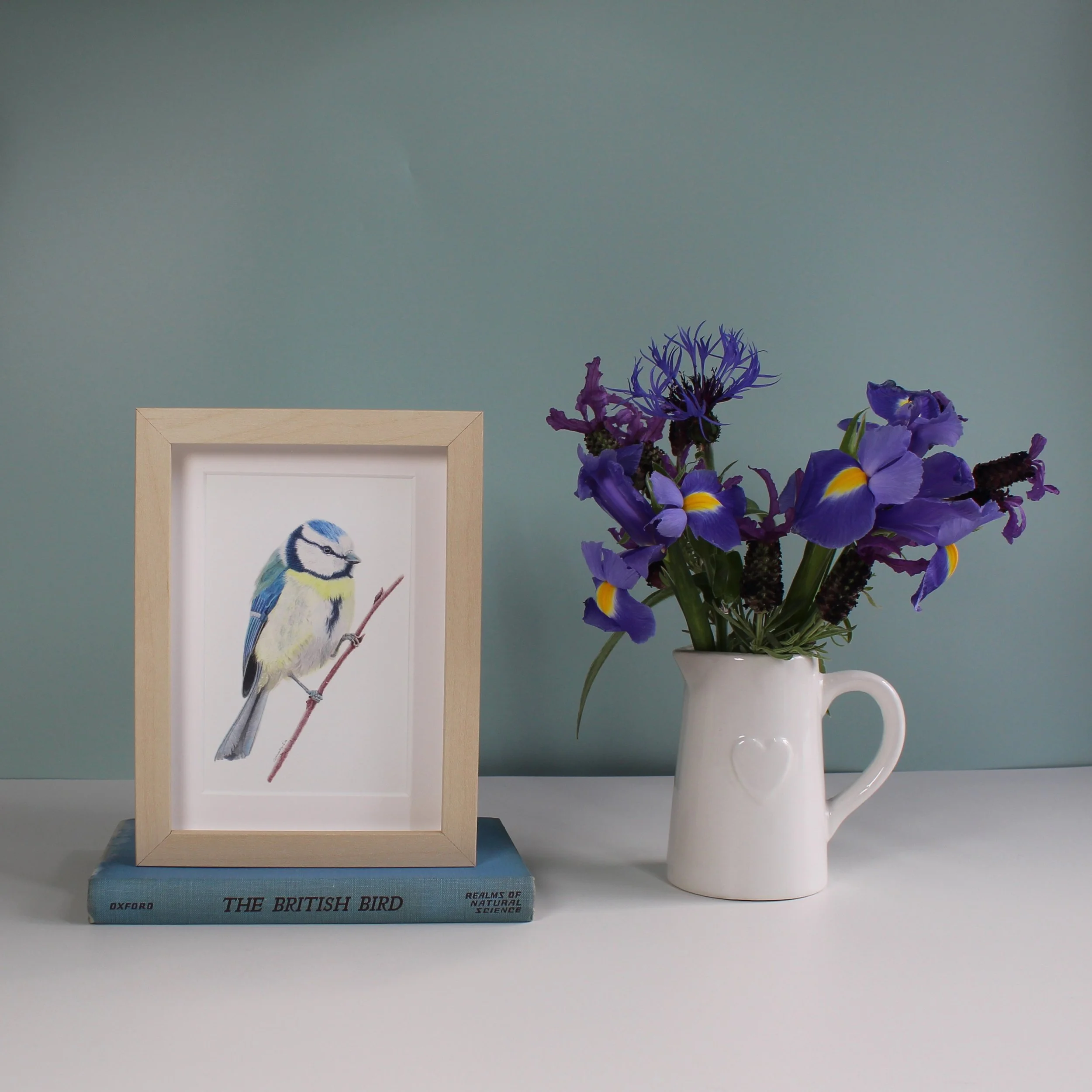 Blue tit small framed fine art print