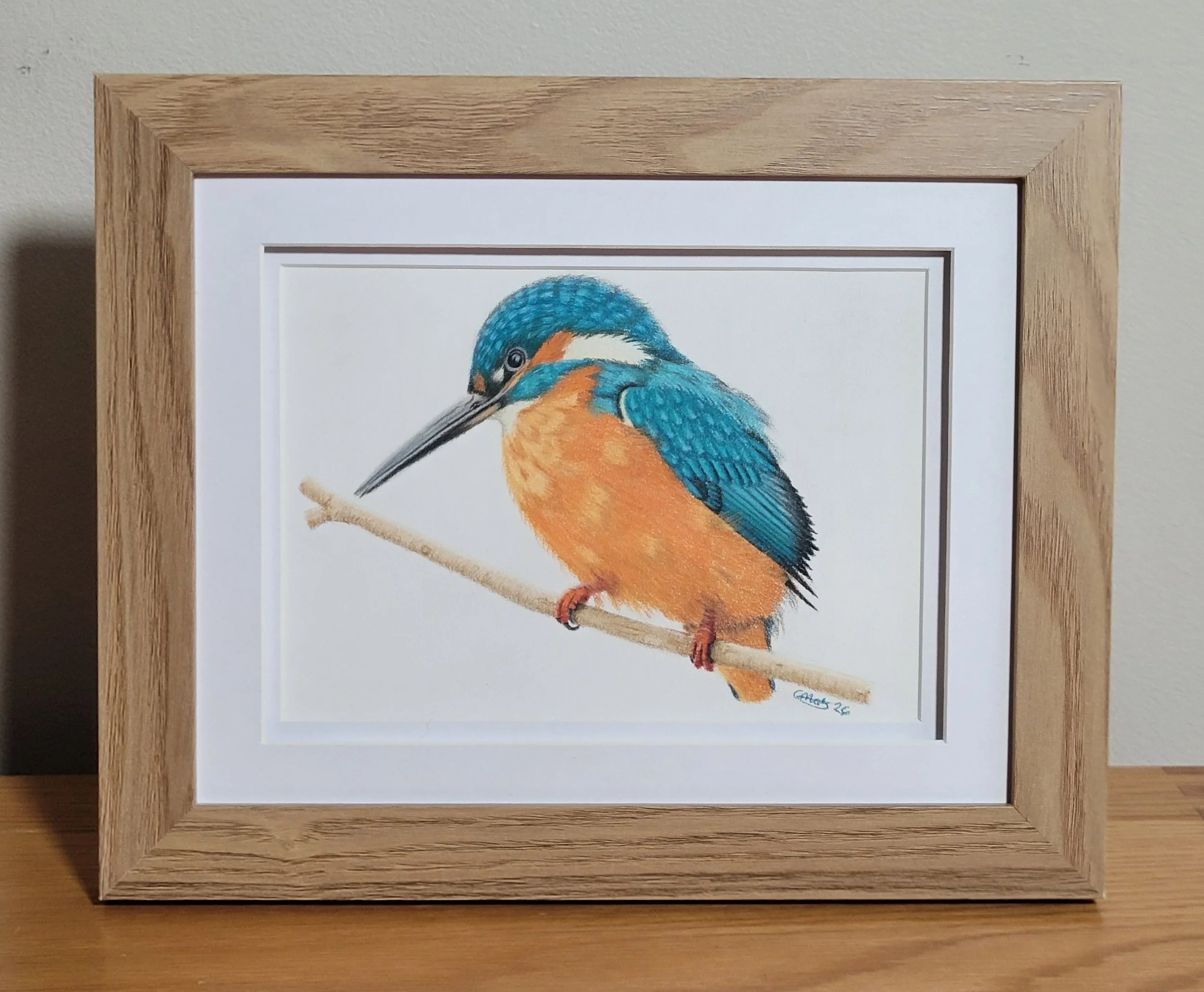 Framed original kingfisher on a branch artwork.