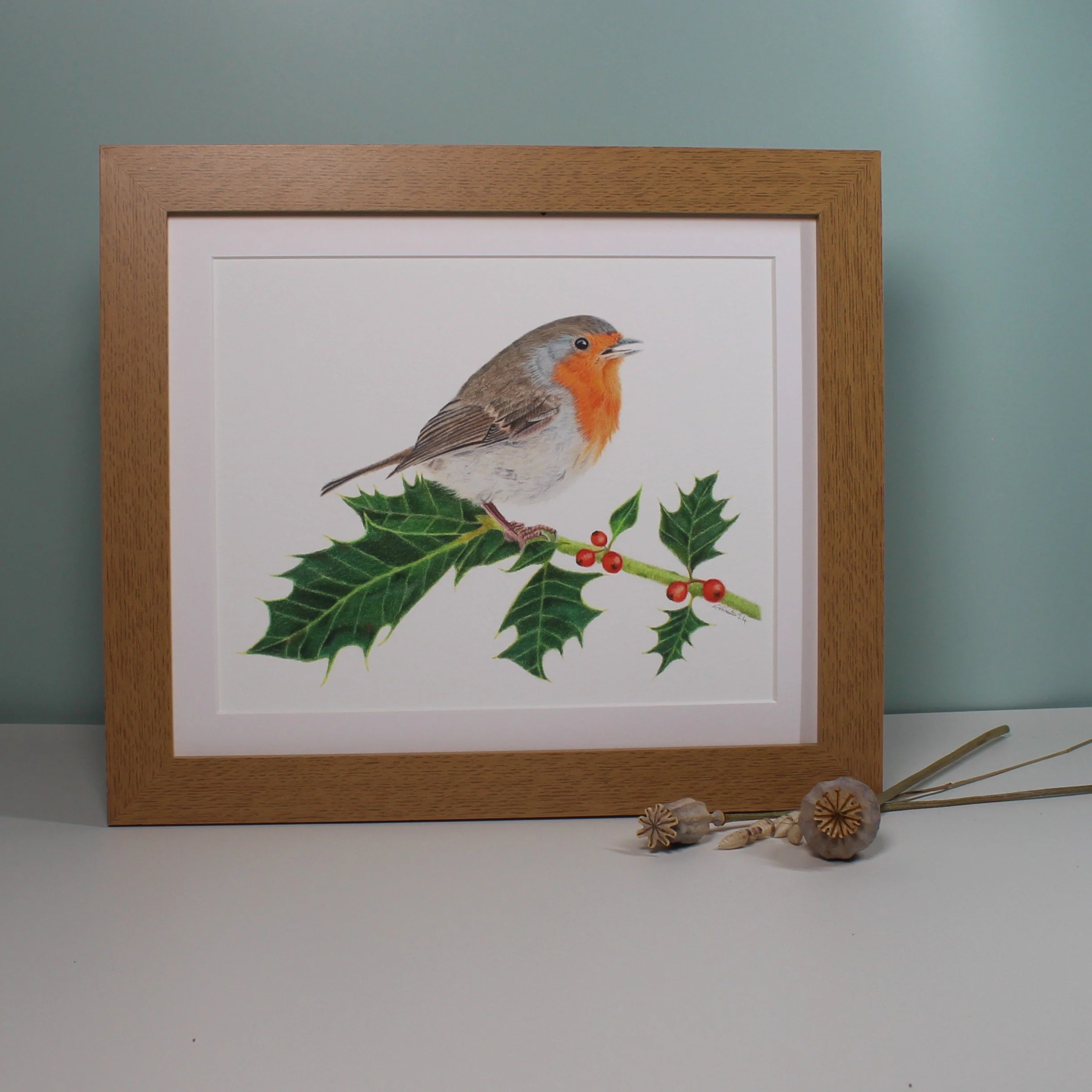 Robin on holly large frame fine art print.