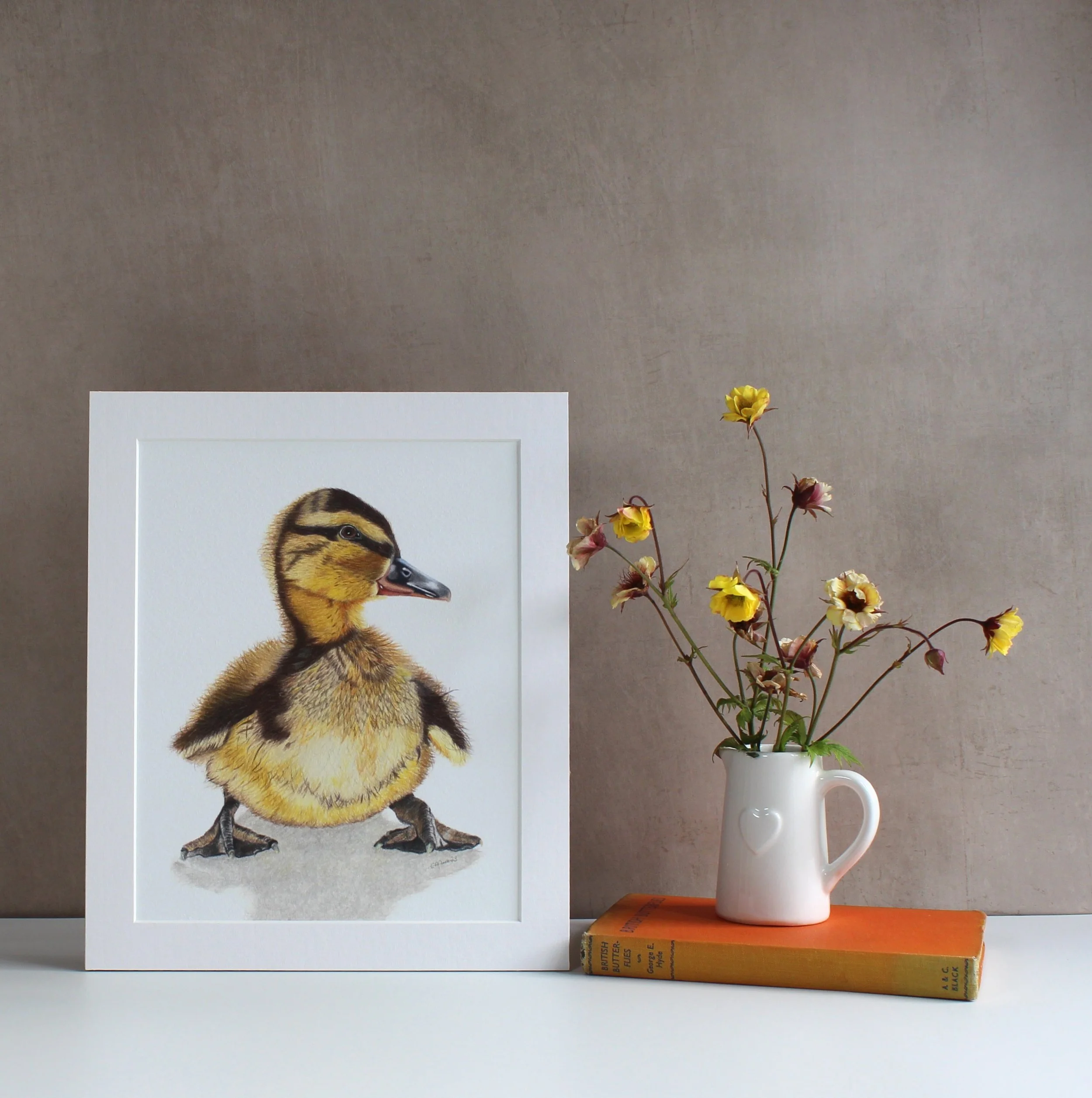 Duckling fine art print (mounted and unframed)