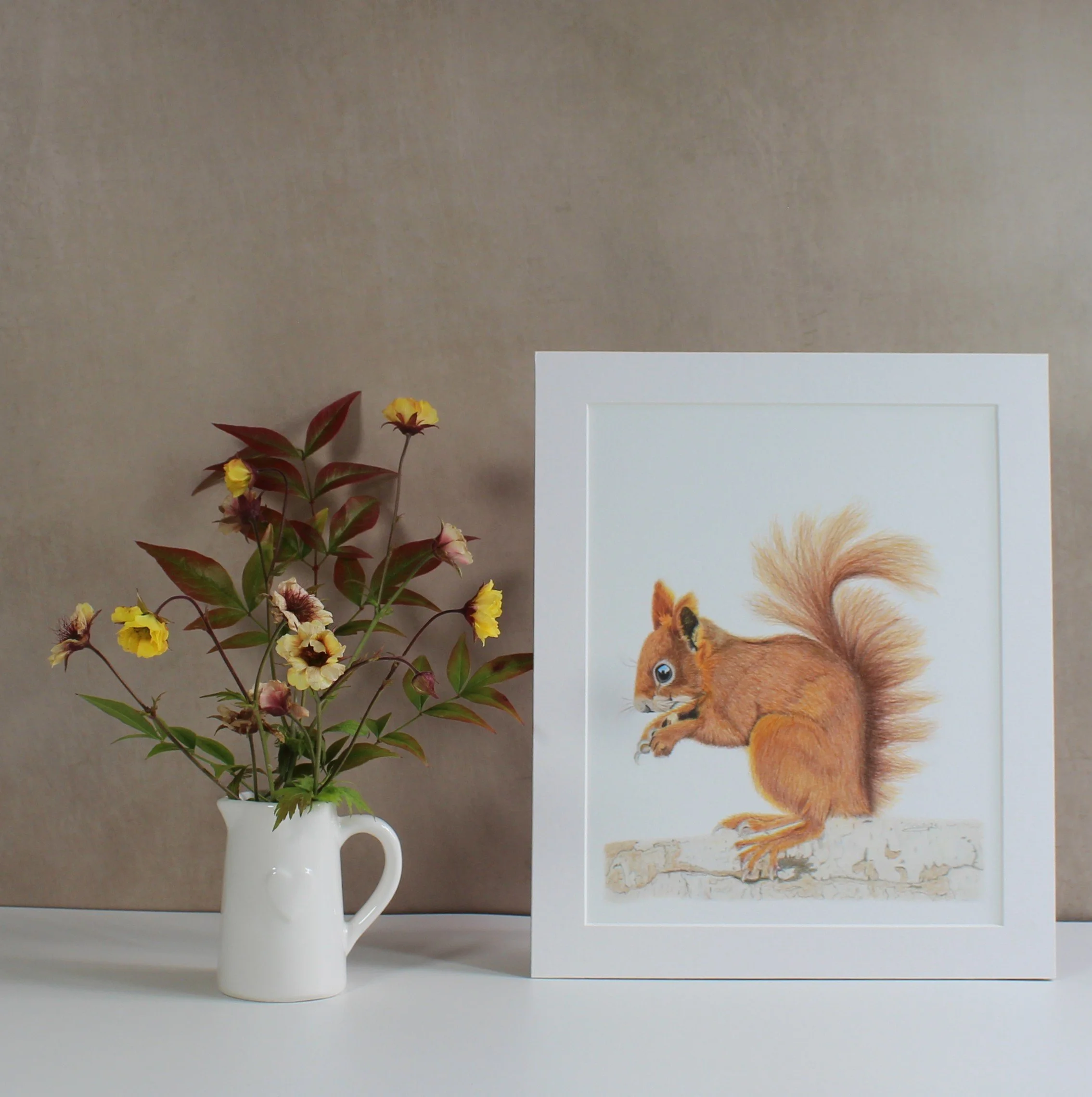 Red squirrel mounted fine art print.