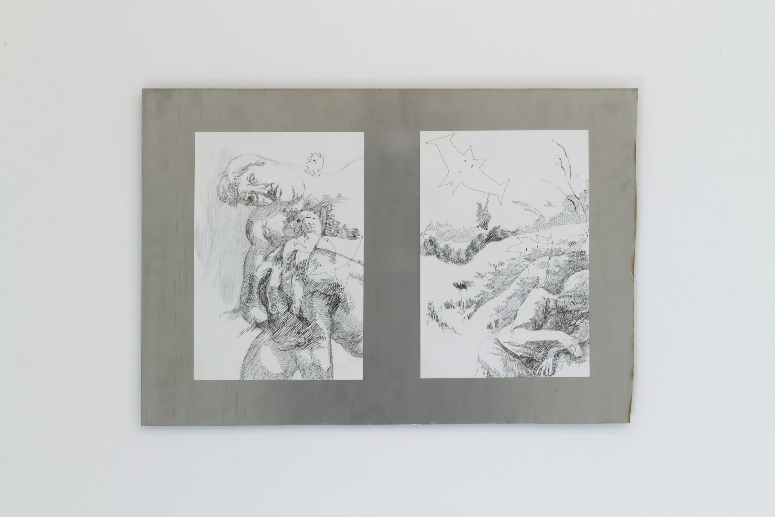 Homestar 1 untitled Adolescent-2.jpg