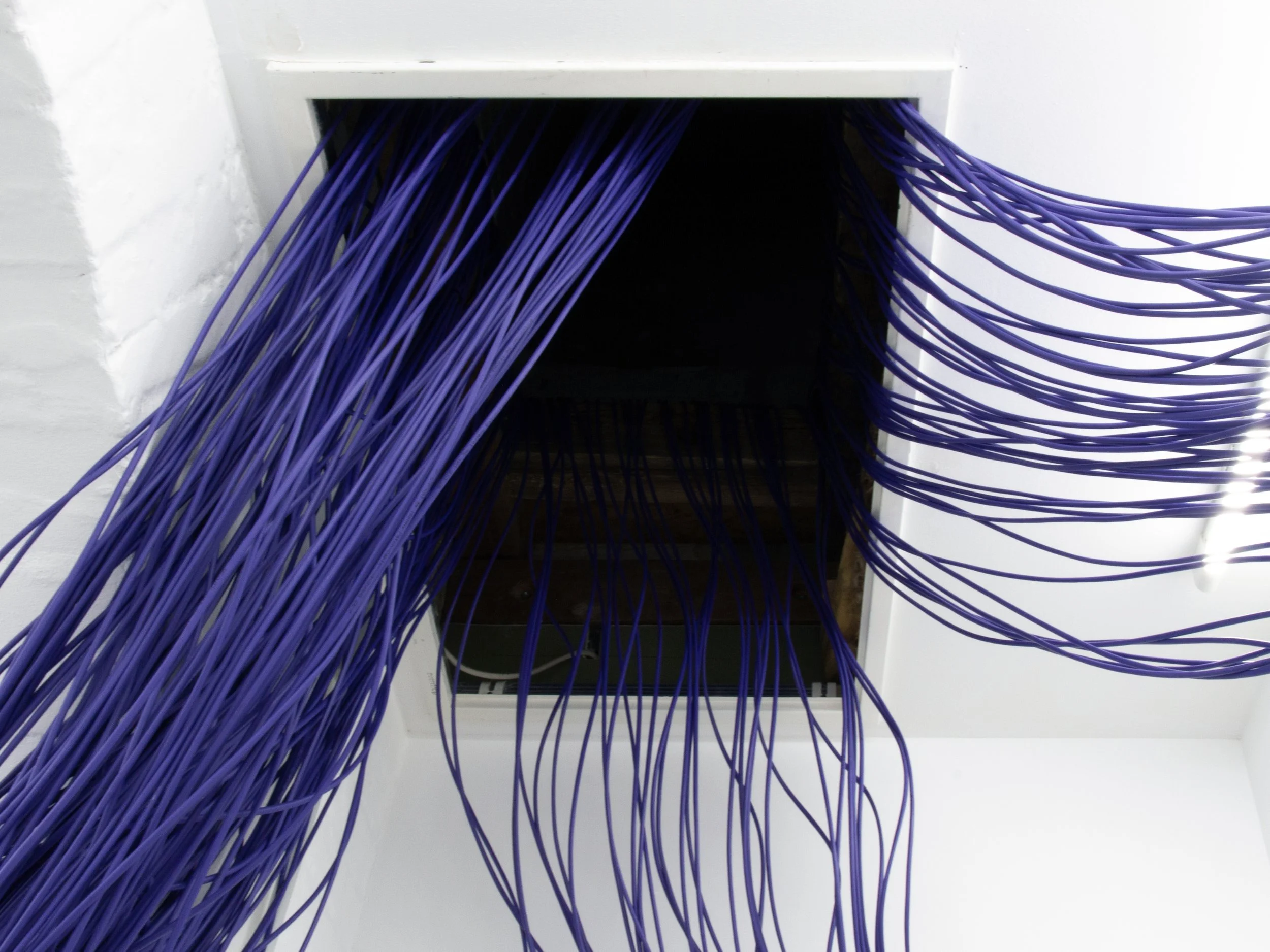 LAN Cable Management 2.jpg