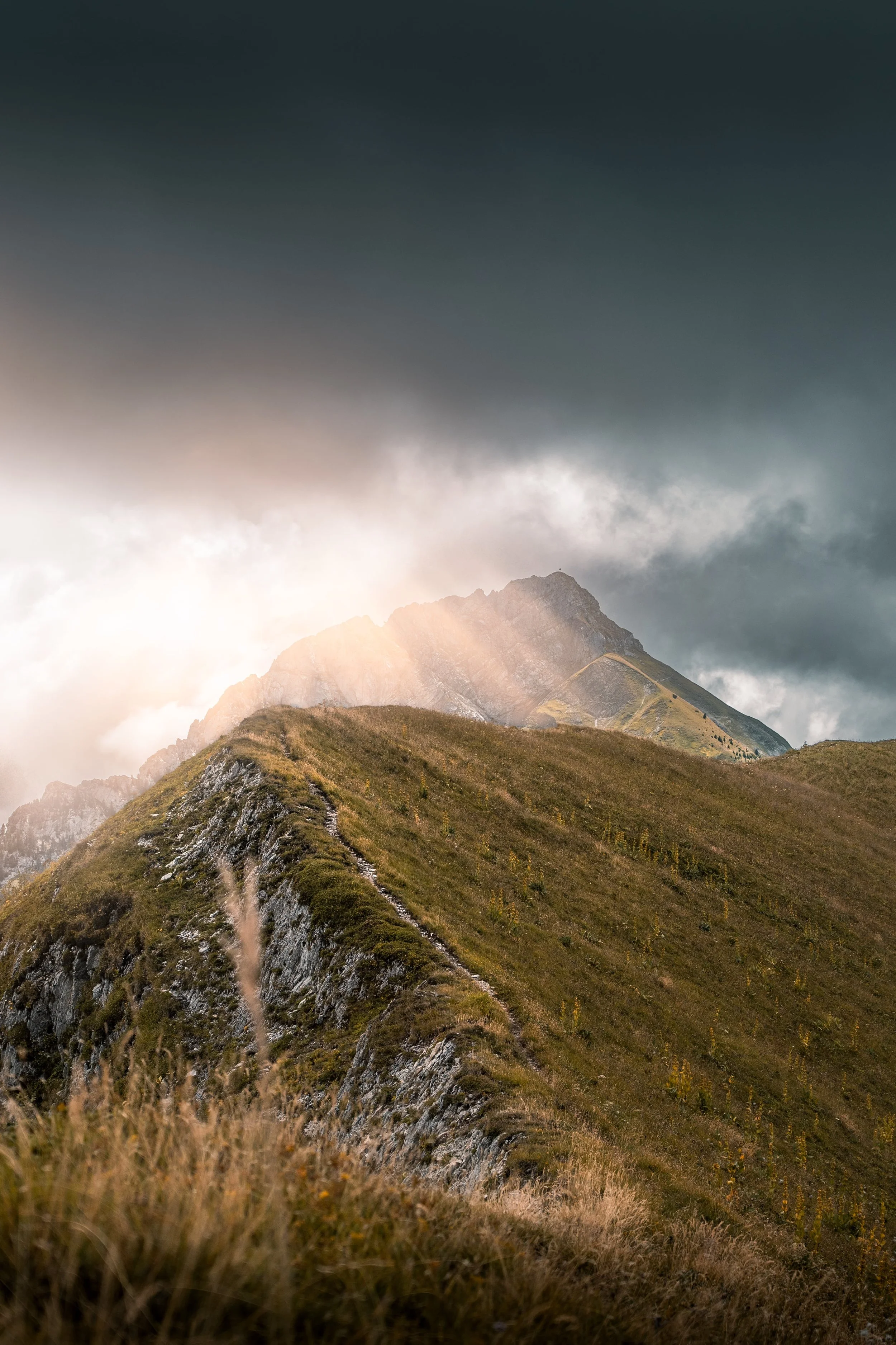 A7408757-Modifier-2-min.jpg