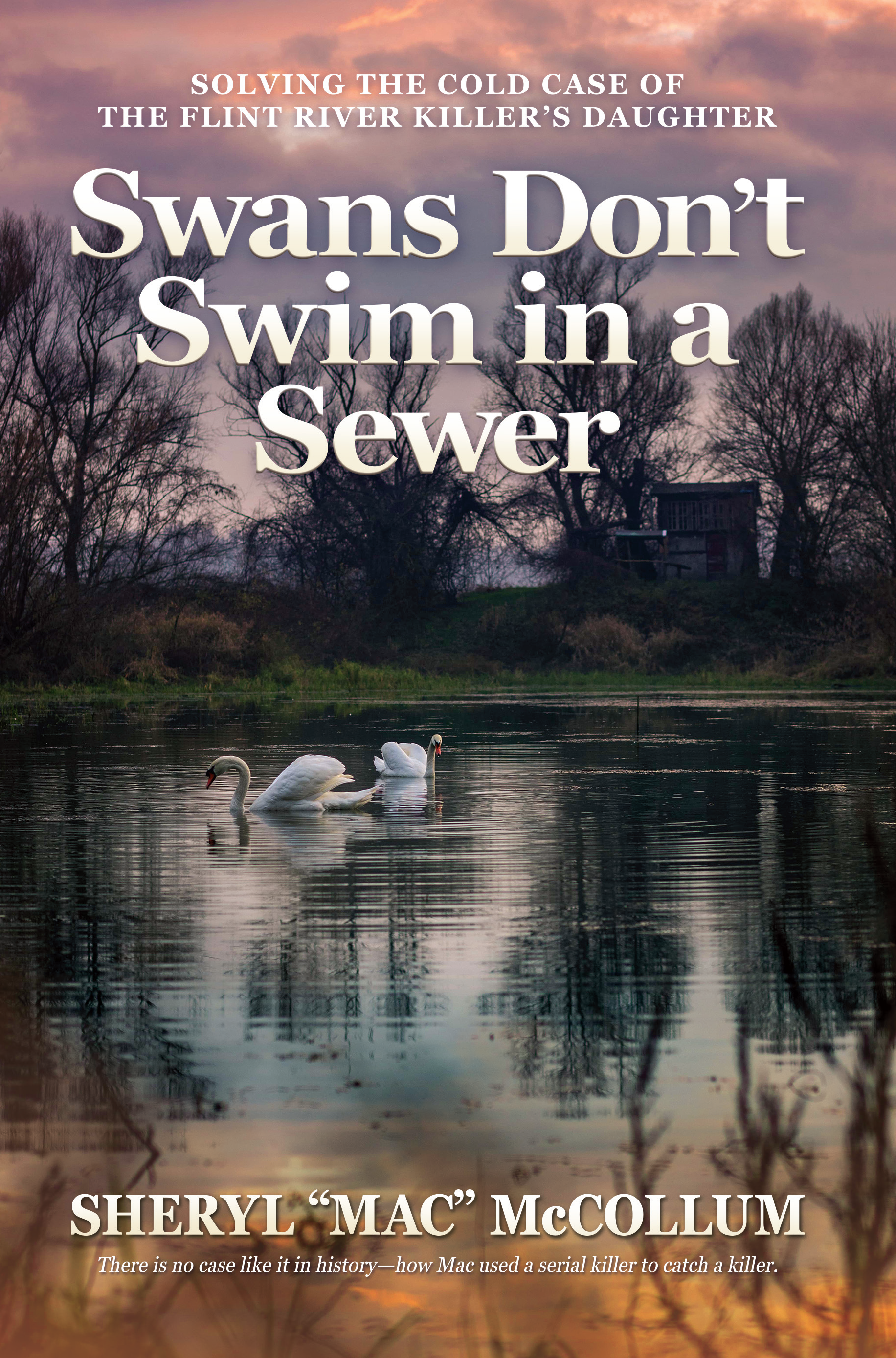 Sheryl McCollum Swans Don't Swim in a Sewer_COVER_v5.png