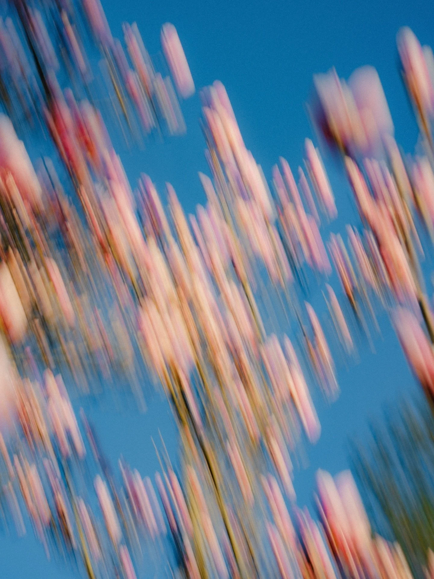 🌸🌸🌸 Fr&uuml;hling mit @iese.shm