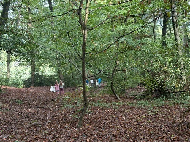 Müll 2.jpg