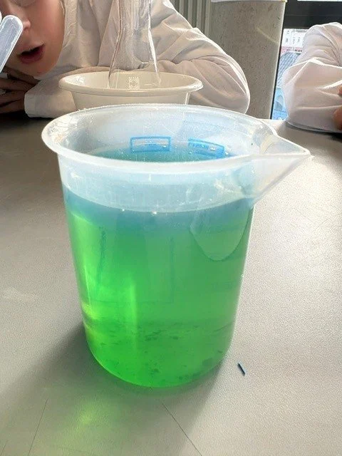 Uni5.jpg