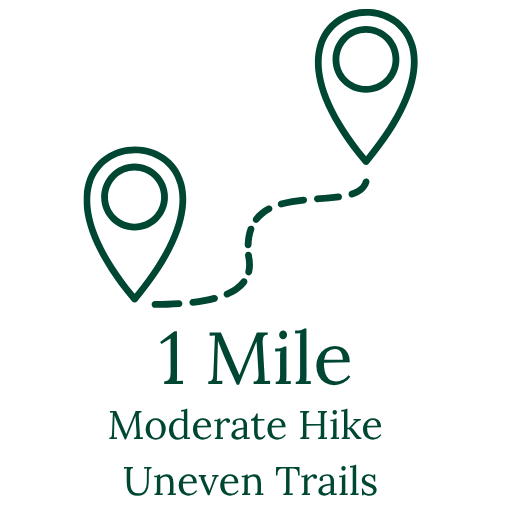 Map icon showing a 1-mile moderate hike with uneven trails between two location pins.