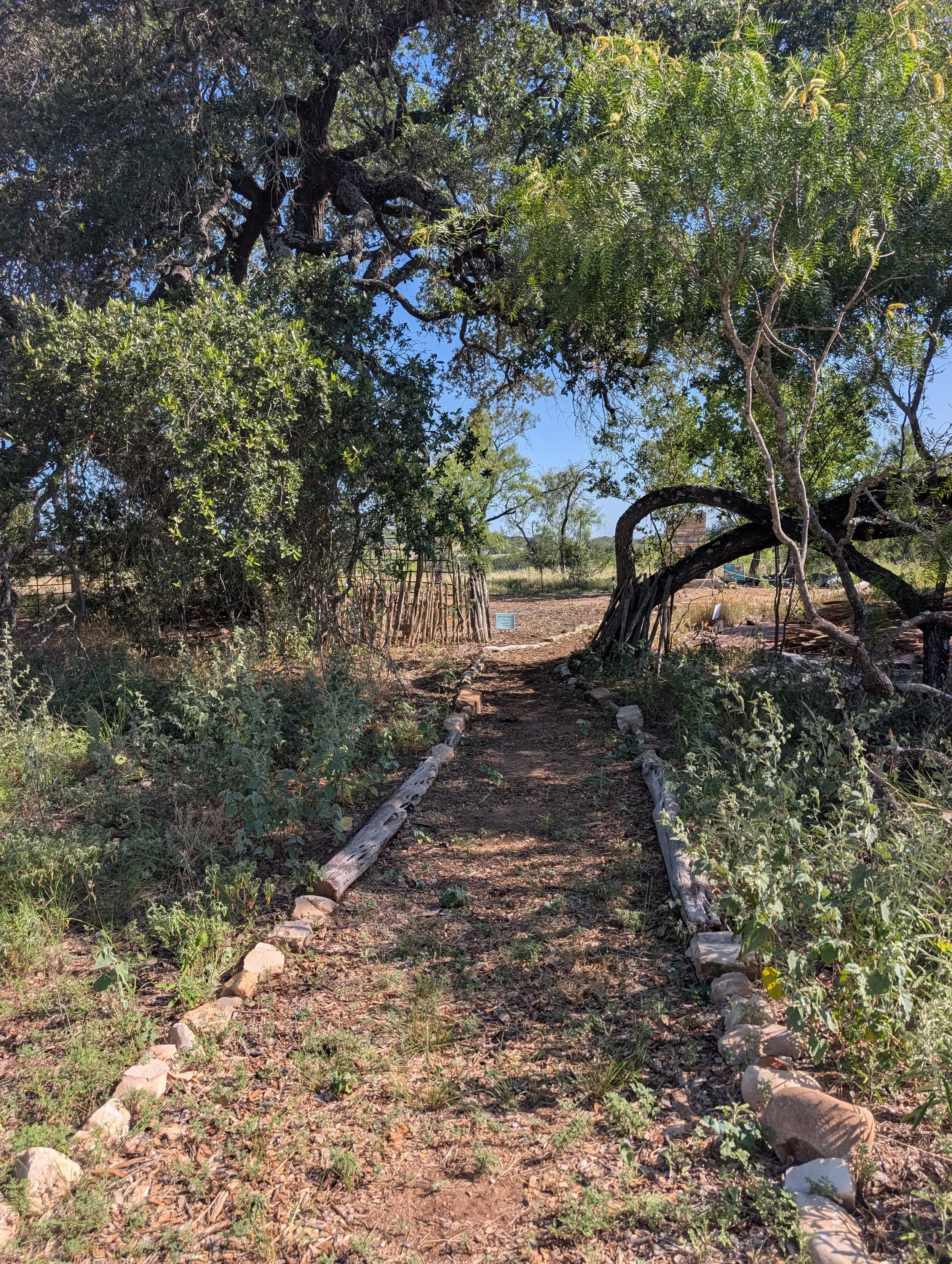 A dirt pathway through a garden with trees and bushes on either side. Large rocks border the path, and various plants grow along the ground. The scene is sunny with a clear blue sky visible through the tree branches.
