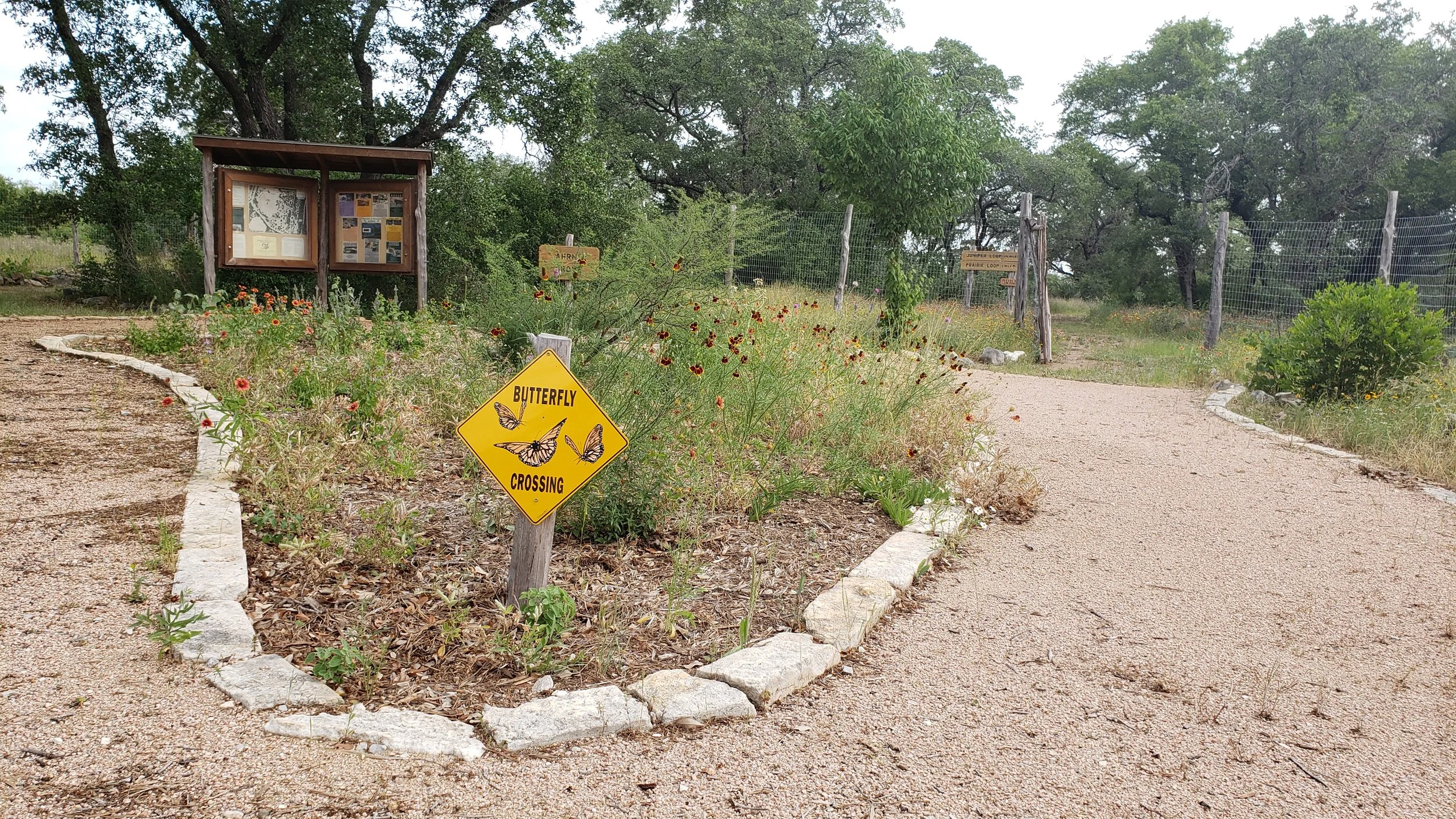 A dirt pathway in a garden with a yellow diamond-shaped sign reading 'Butterfly Crossing' featuring illustrations of butterflies. There are trees and flowering plants along the path, with informational boards and a wooden fence in the background.