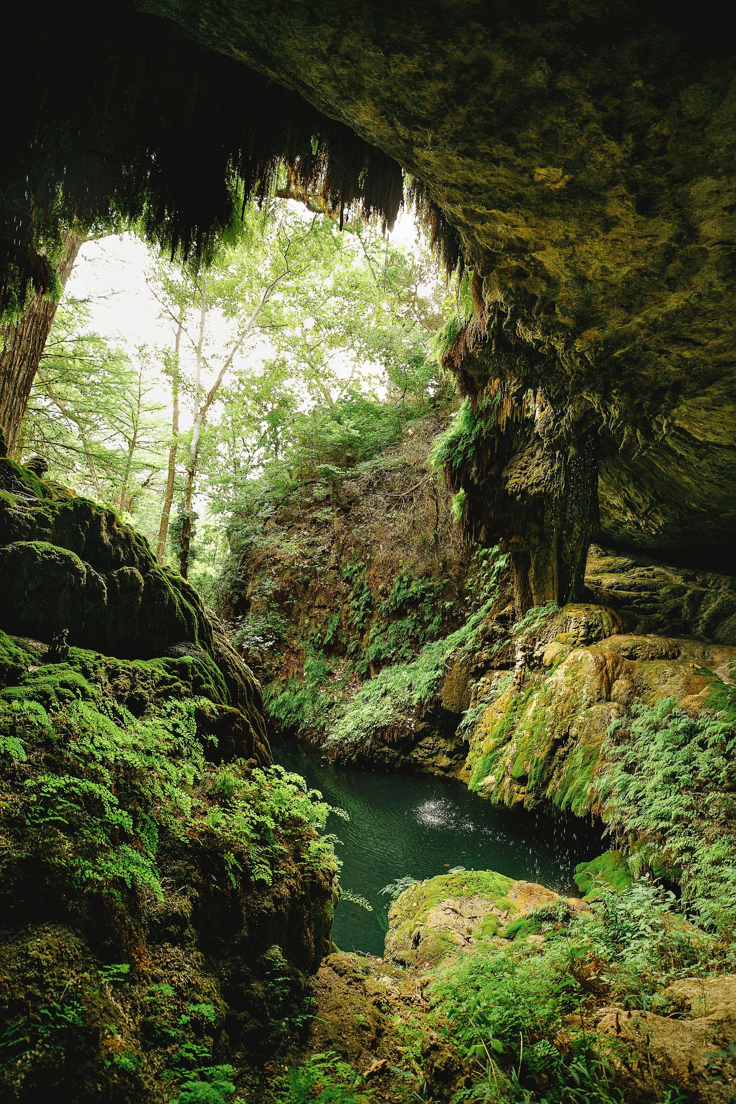 A view of a lush green cave with a small waterfall flowing into a calm pool of water, surrounded by moss-covered rocks and dense foliage.