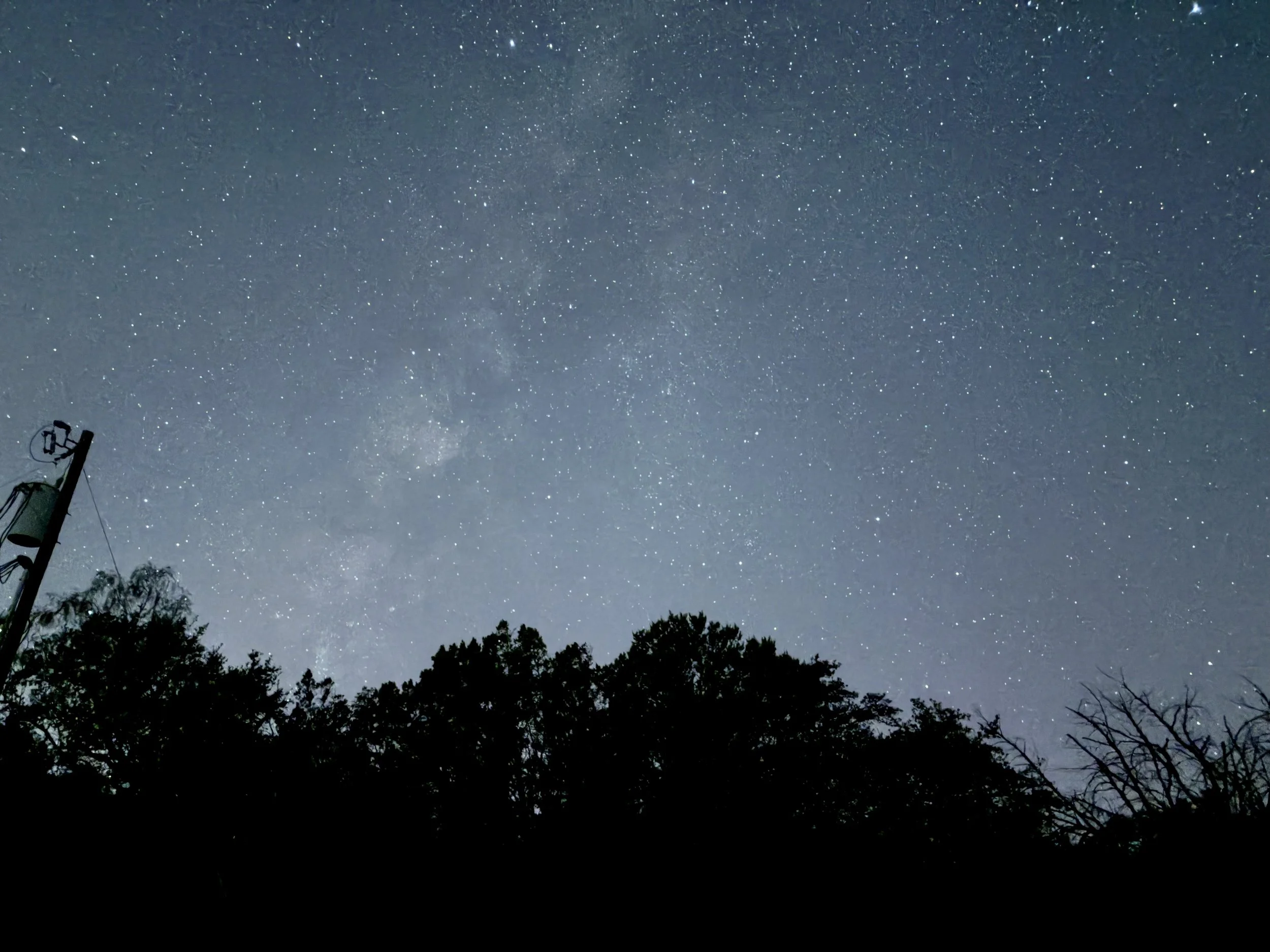 Night sky filled with numerous visible stars, faint Milky Way, silhouetted treetops at the bottom, and a star-shaped satellite dish in the lower left corner.