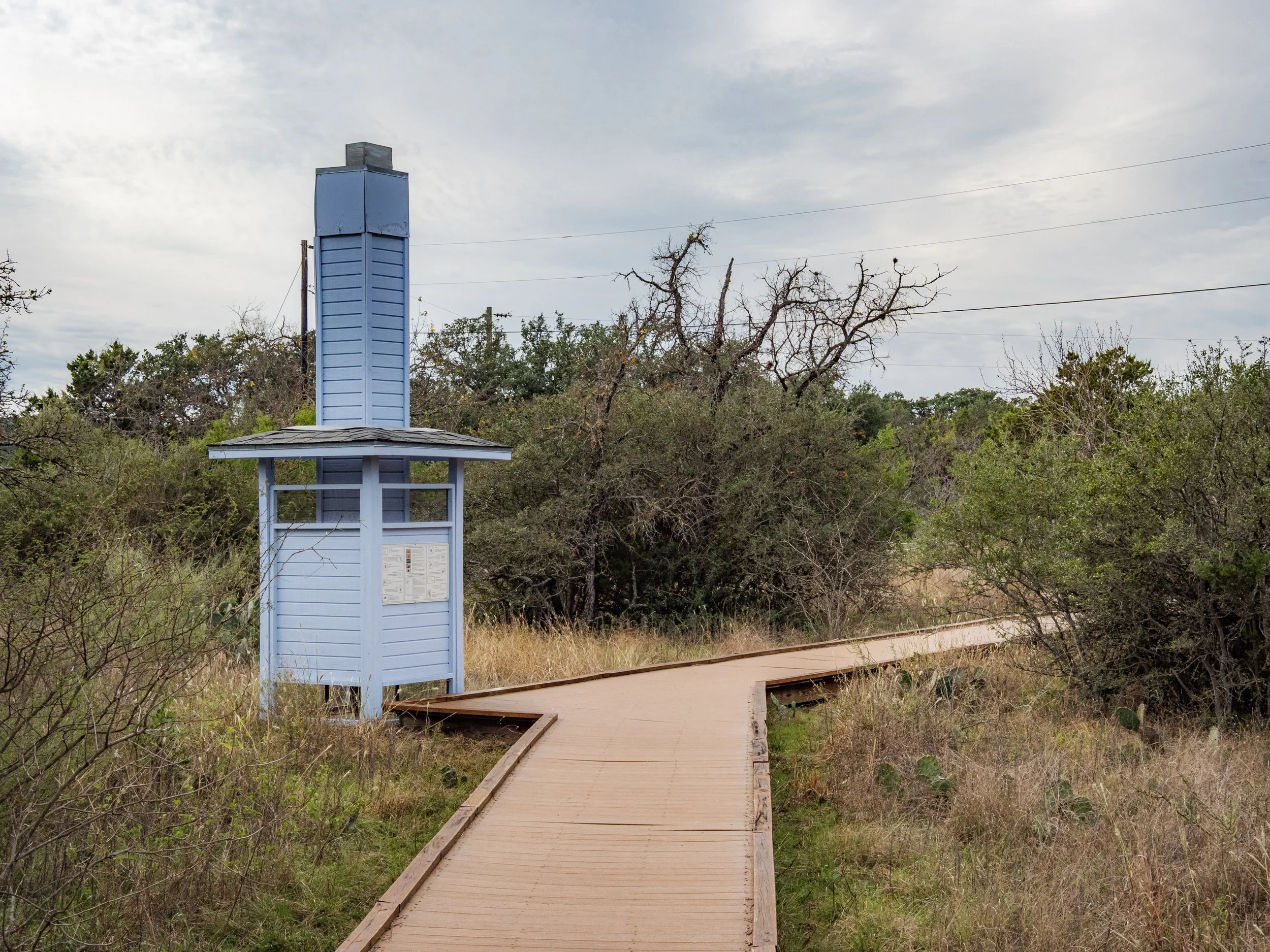 Blue Chimney Swift tower at Westcave Preserve