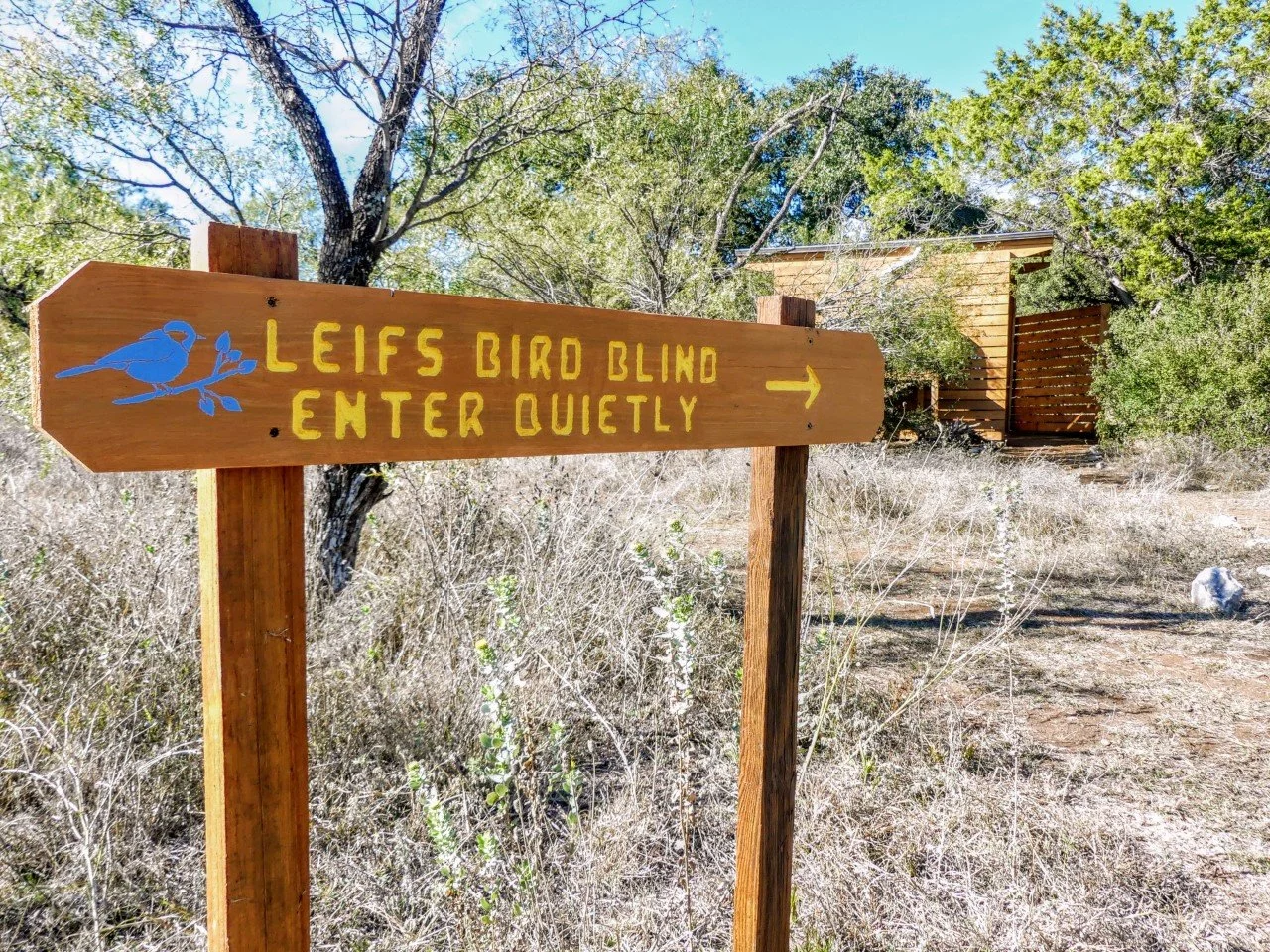 A wooden sign indicating 'LEIFS BIRD BLIND ENTER QUIETLY' with a blue bird illustration, pointing to the right, in a dry, grassy area with trees and a wooden building in the background.